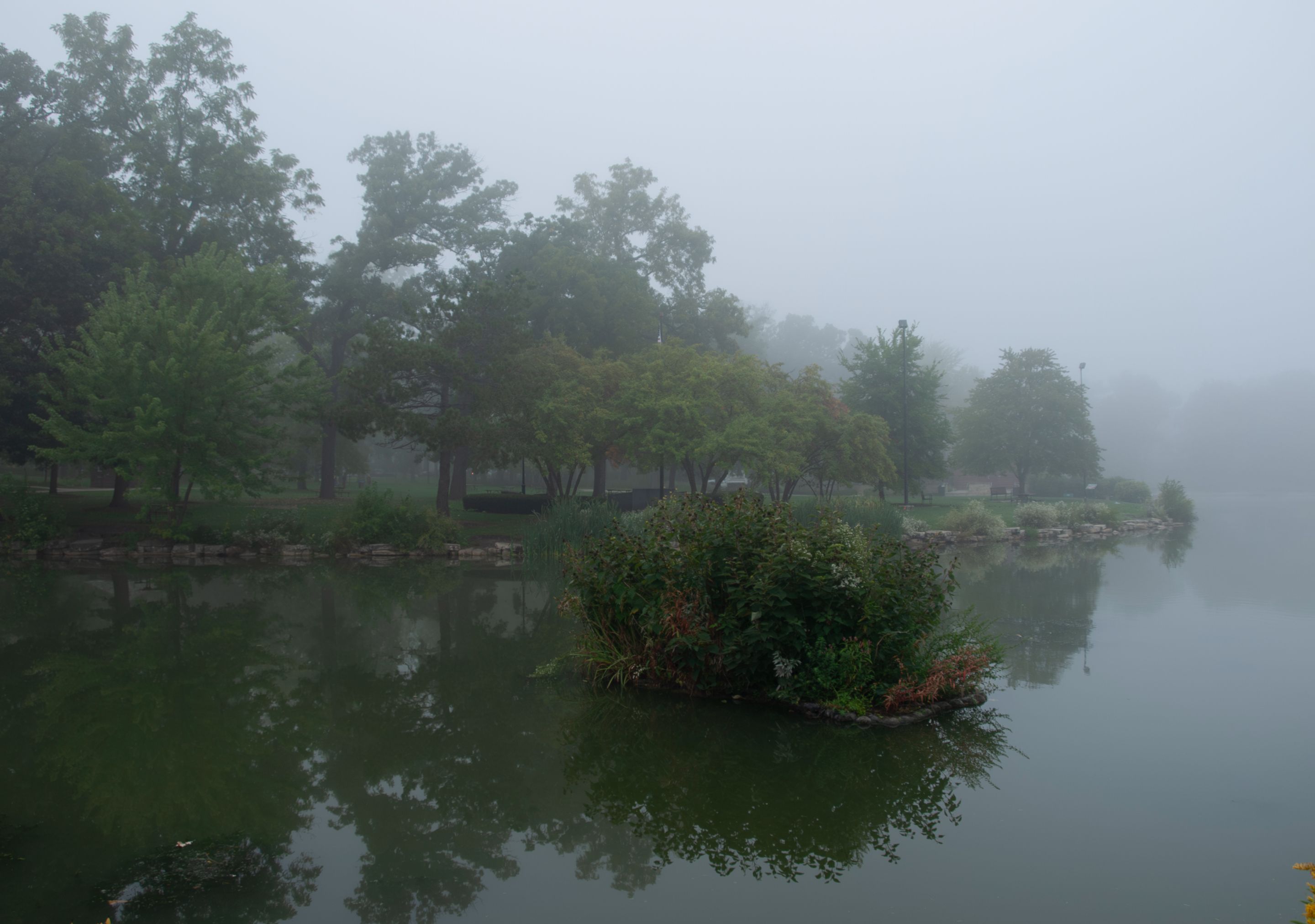 P1010379-Enhanced-NR copy.jpg
