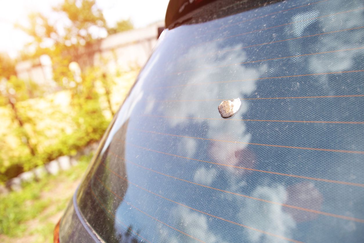 birdpoop.jpg