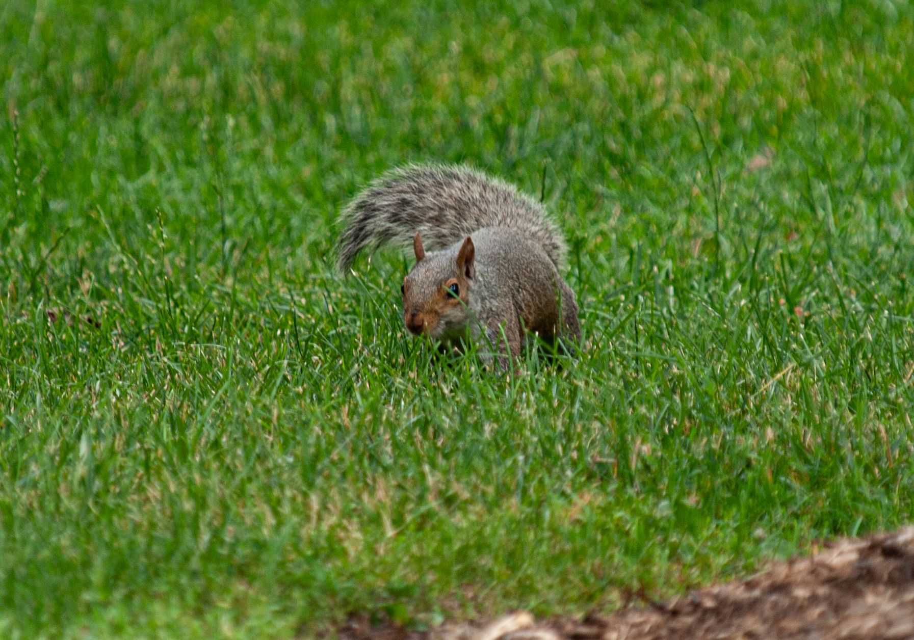P1013829 copy.jpg