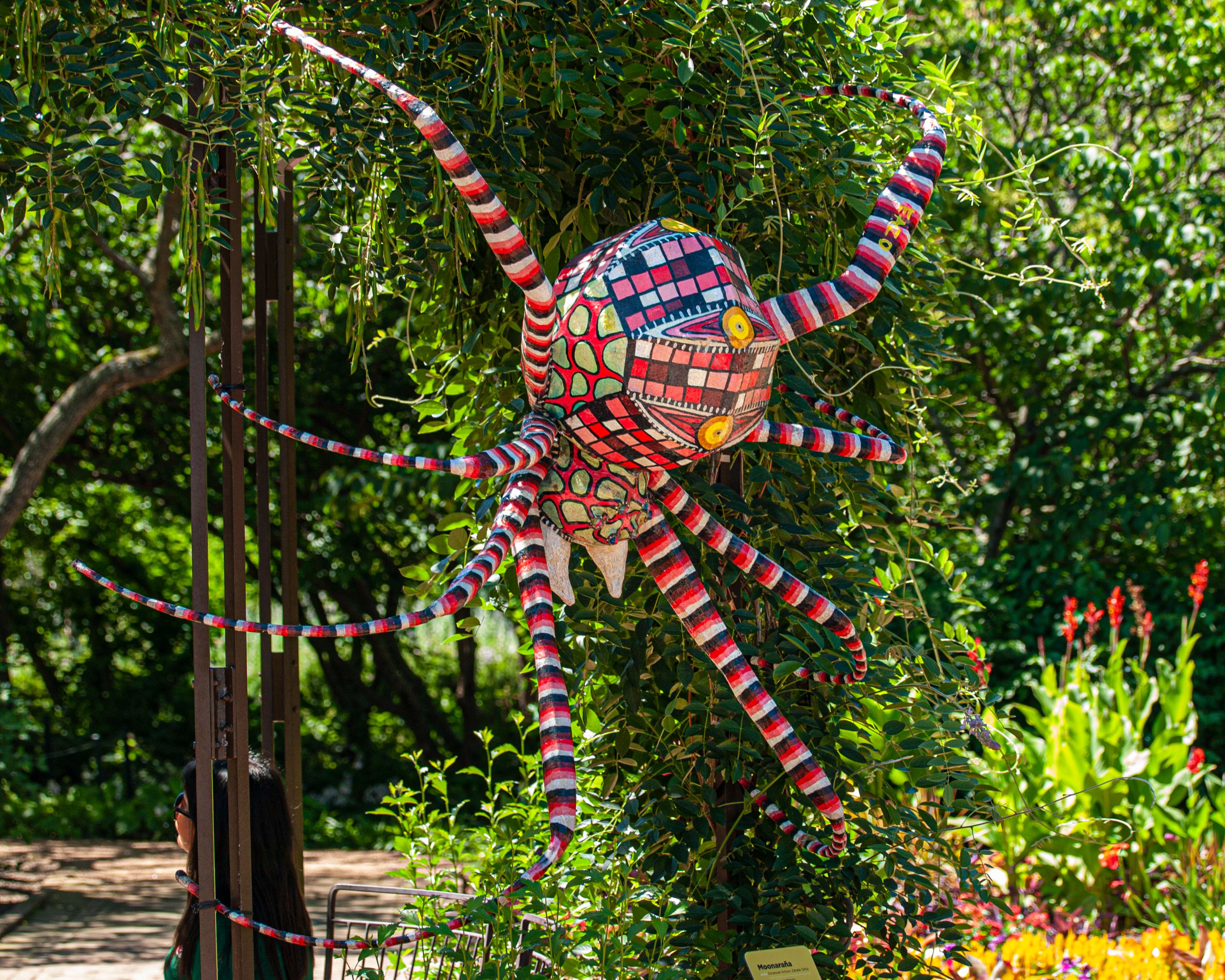 P7107291 copy.jpg