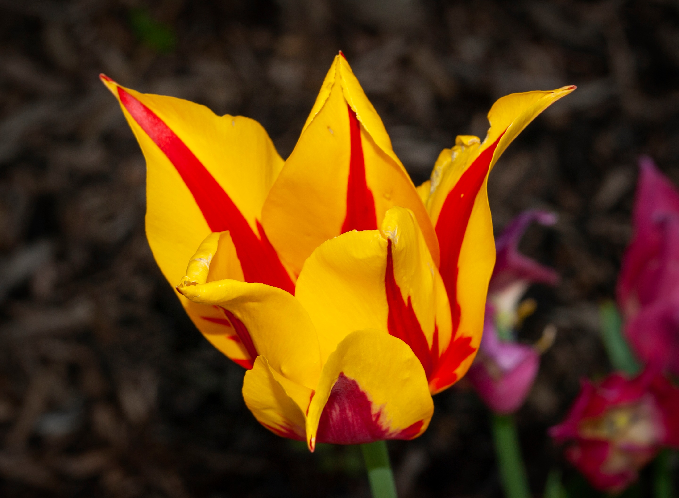 P5157560.jpg