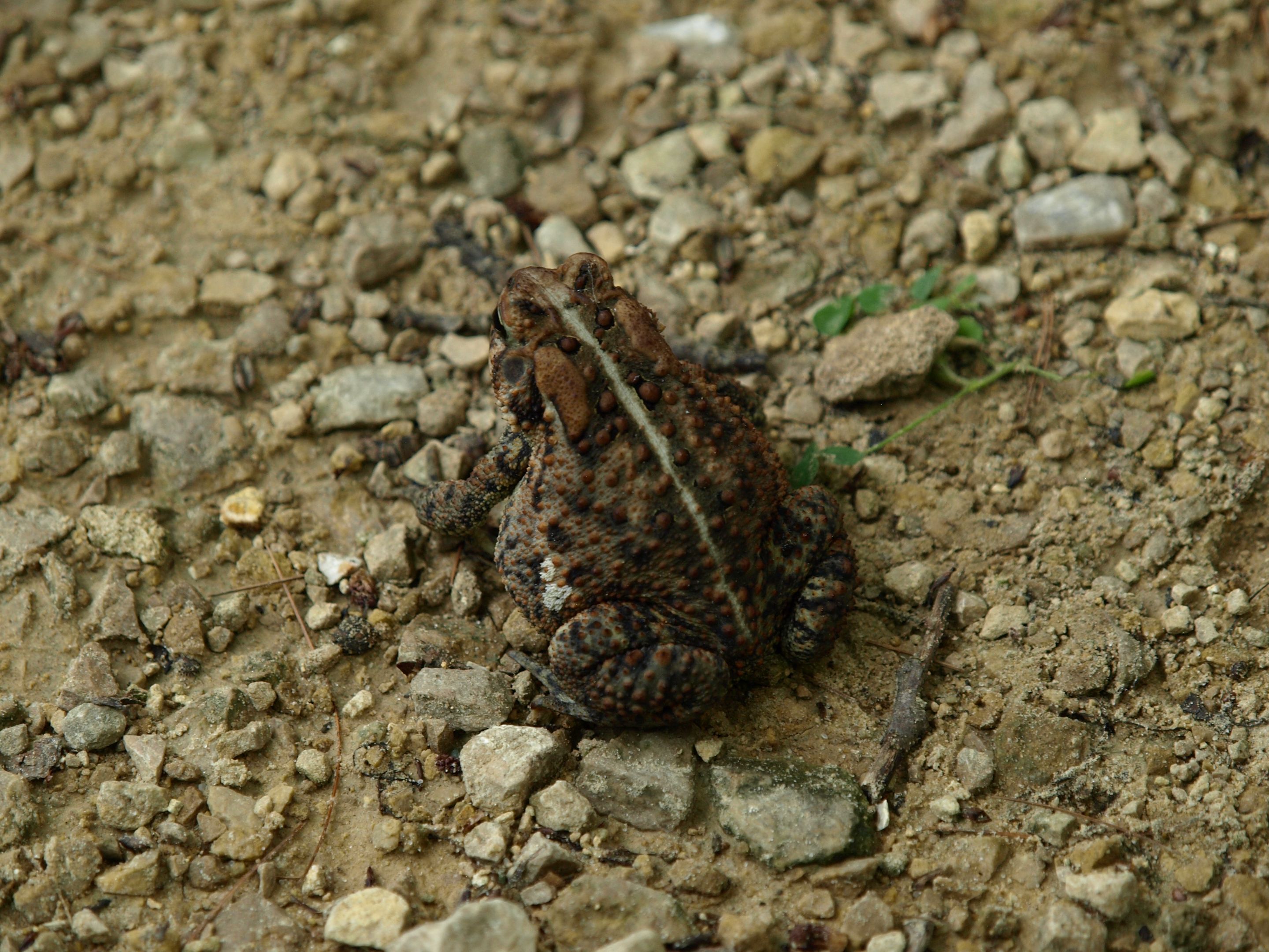 P1013767.JPG