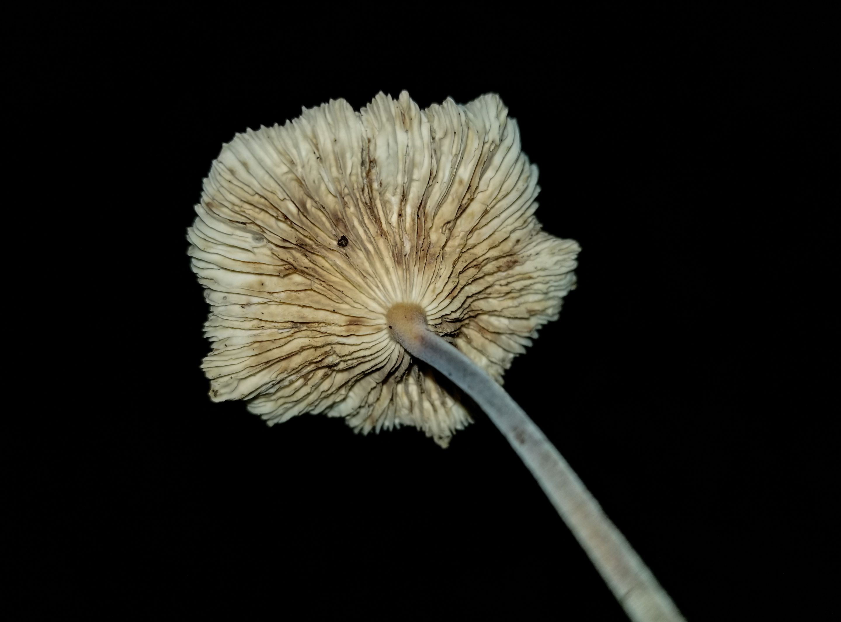 PSX_20230908_090558.jpg
