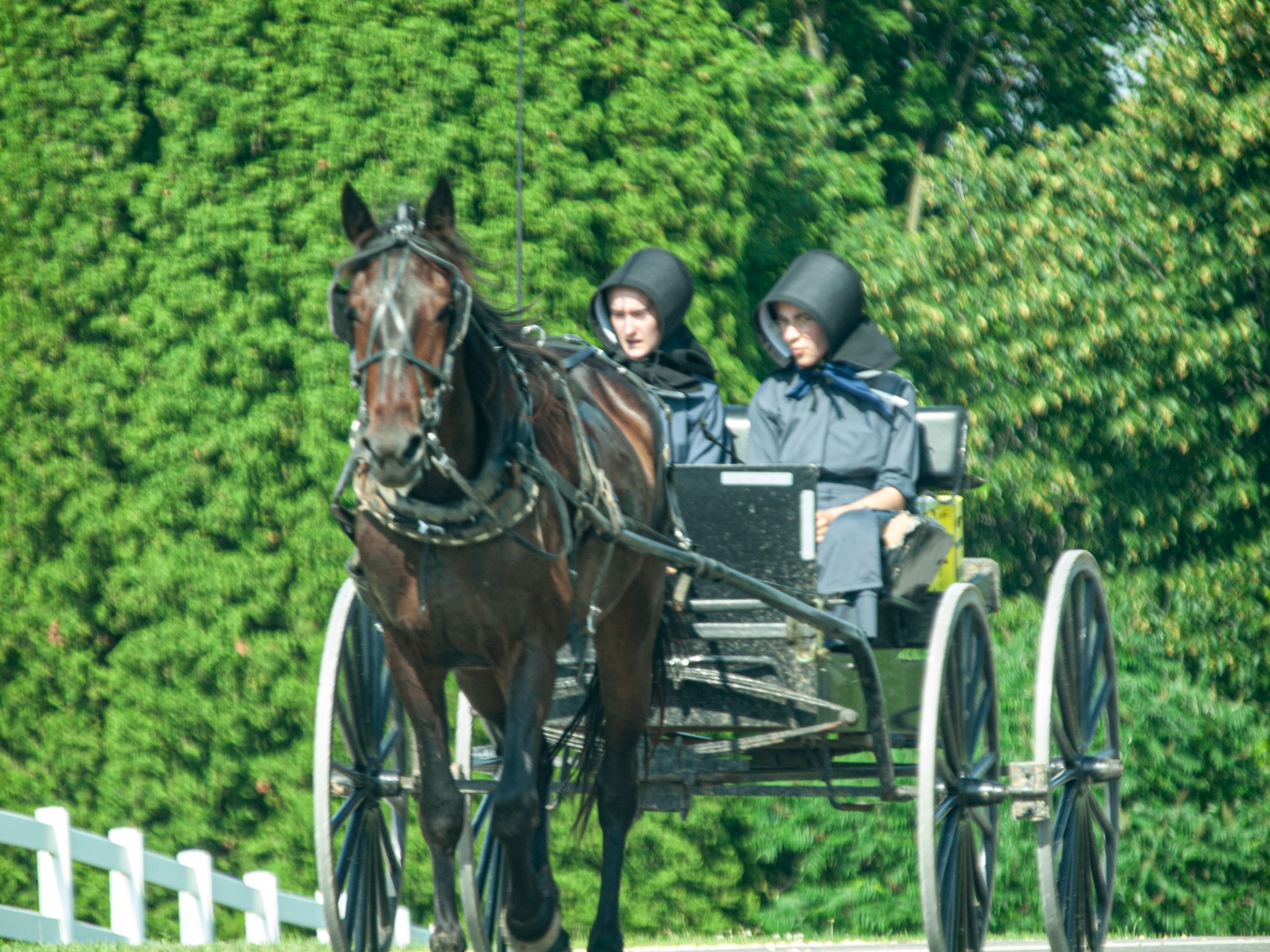 P1013756 copy.jpg