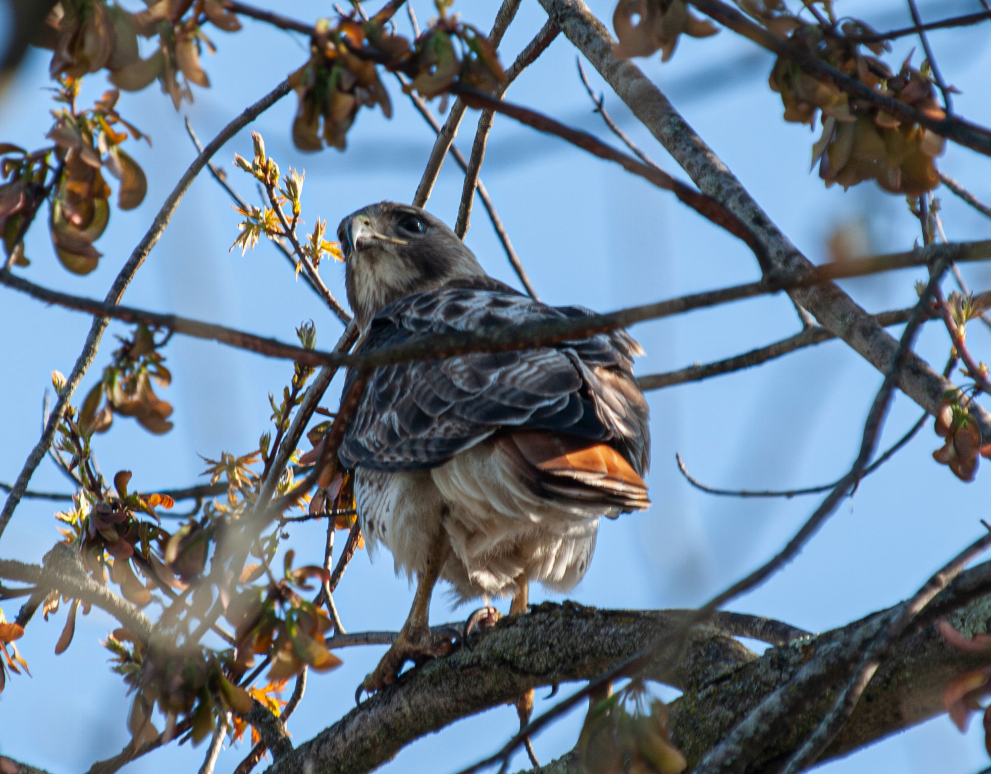 P1013251-Enhanced-NR copy.jpg