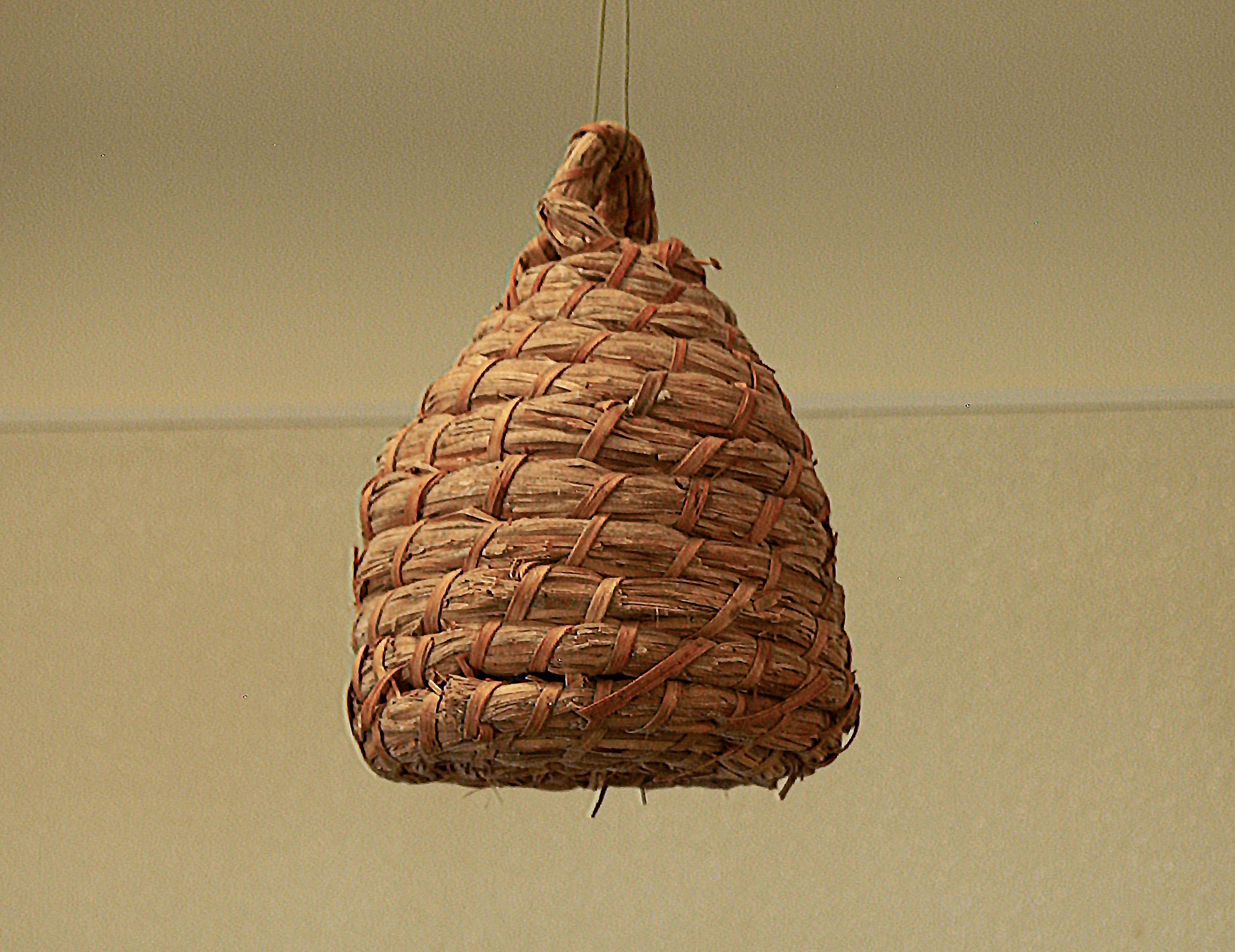 P8067542 copy.jpg