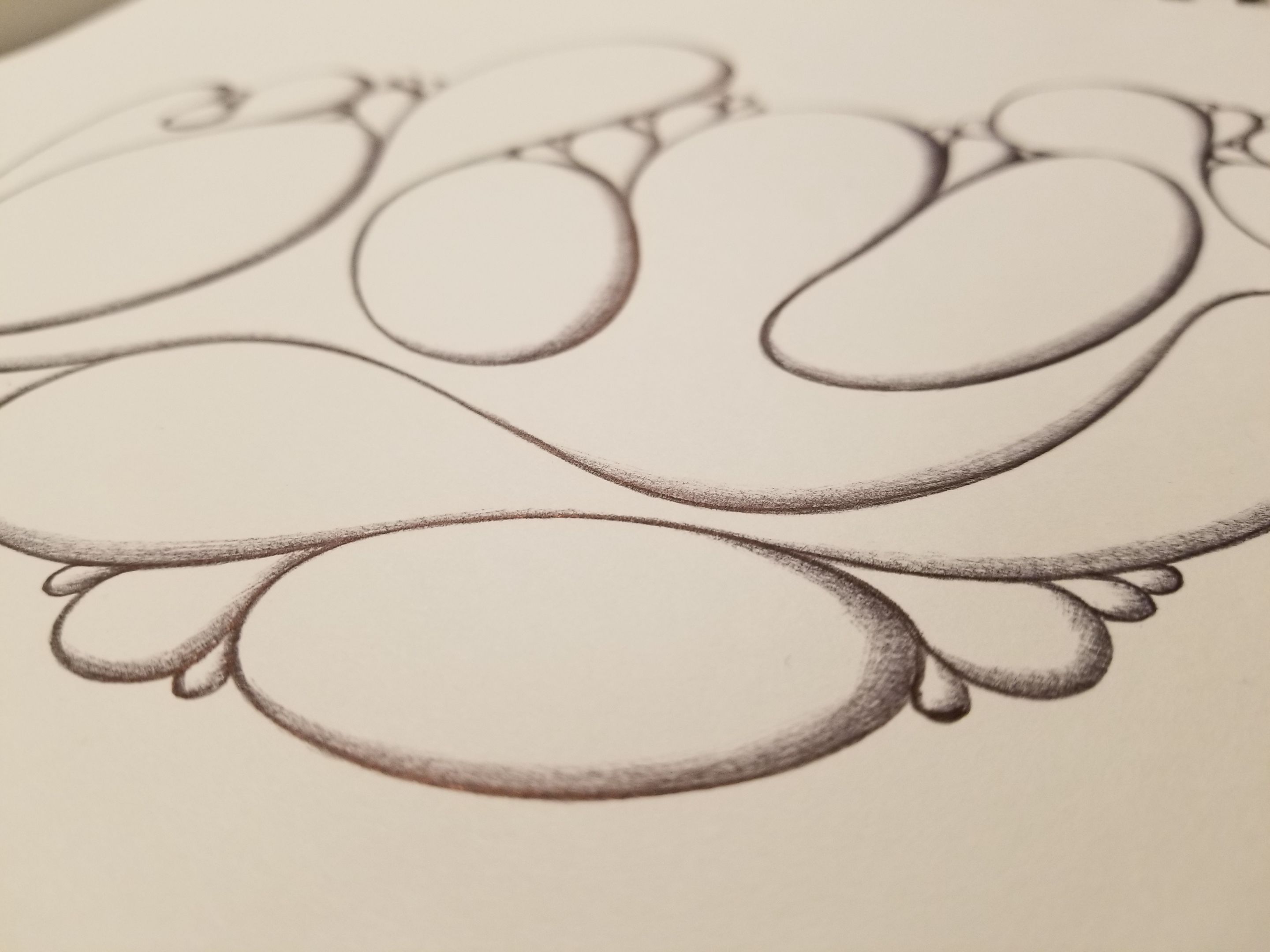 20240717_165549.jpg