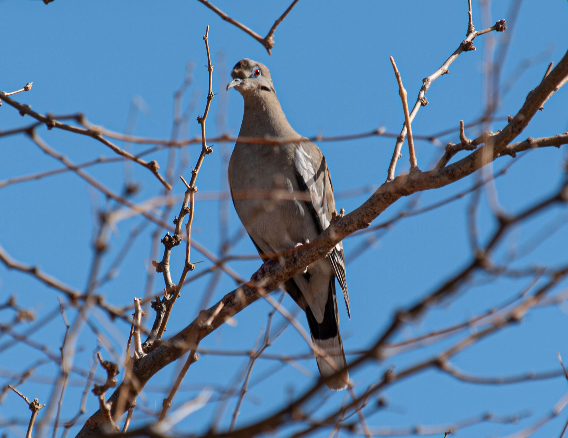 P1013055-Enhanced-NR copy.jpg