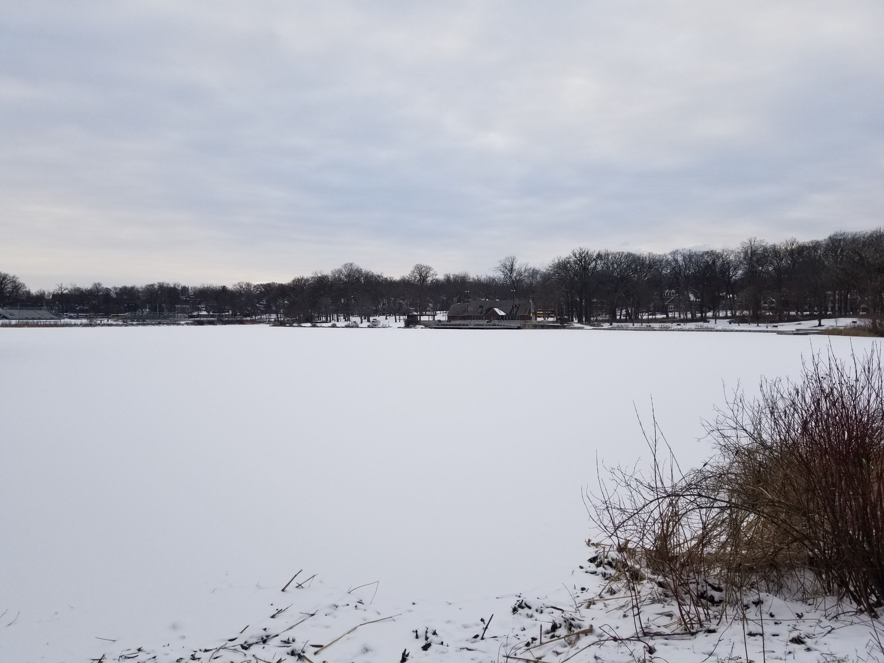 20250111_154751.jpg