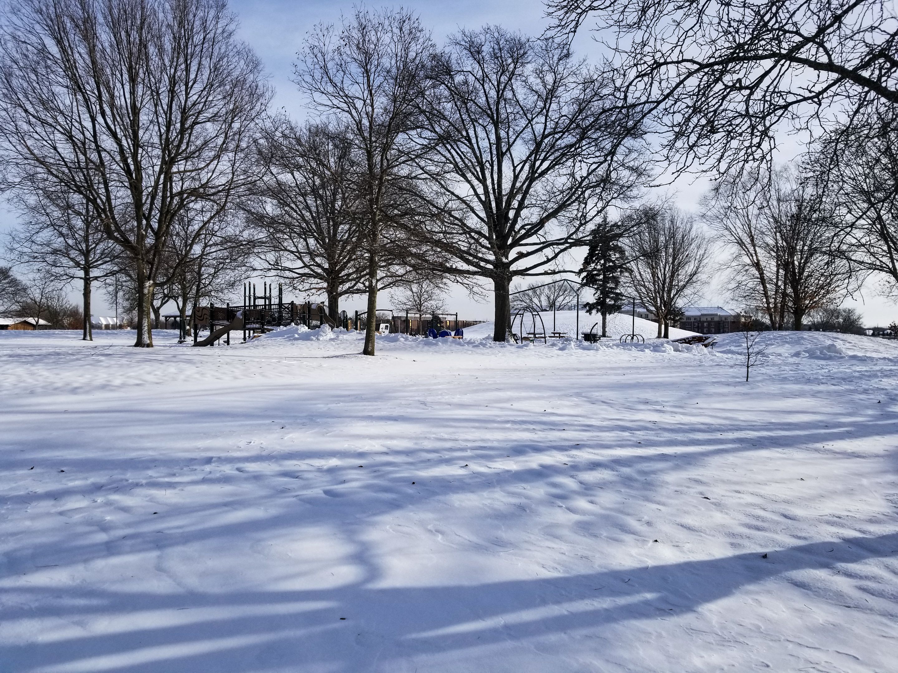 PSX_20240117_060651.jpg