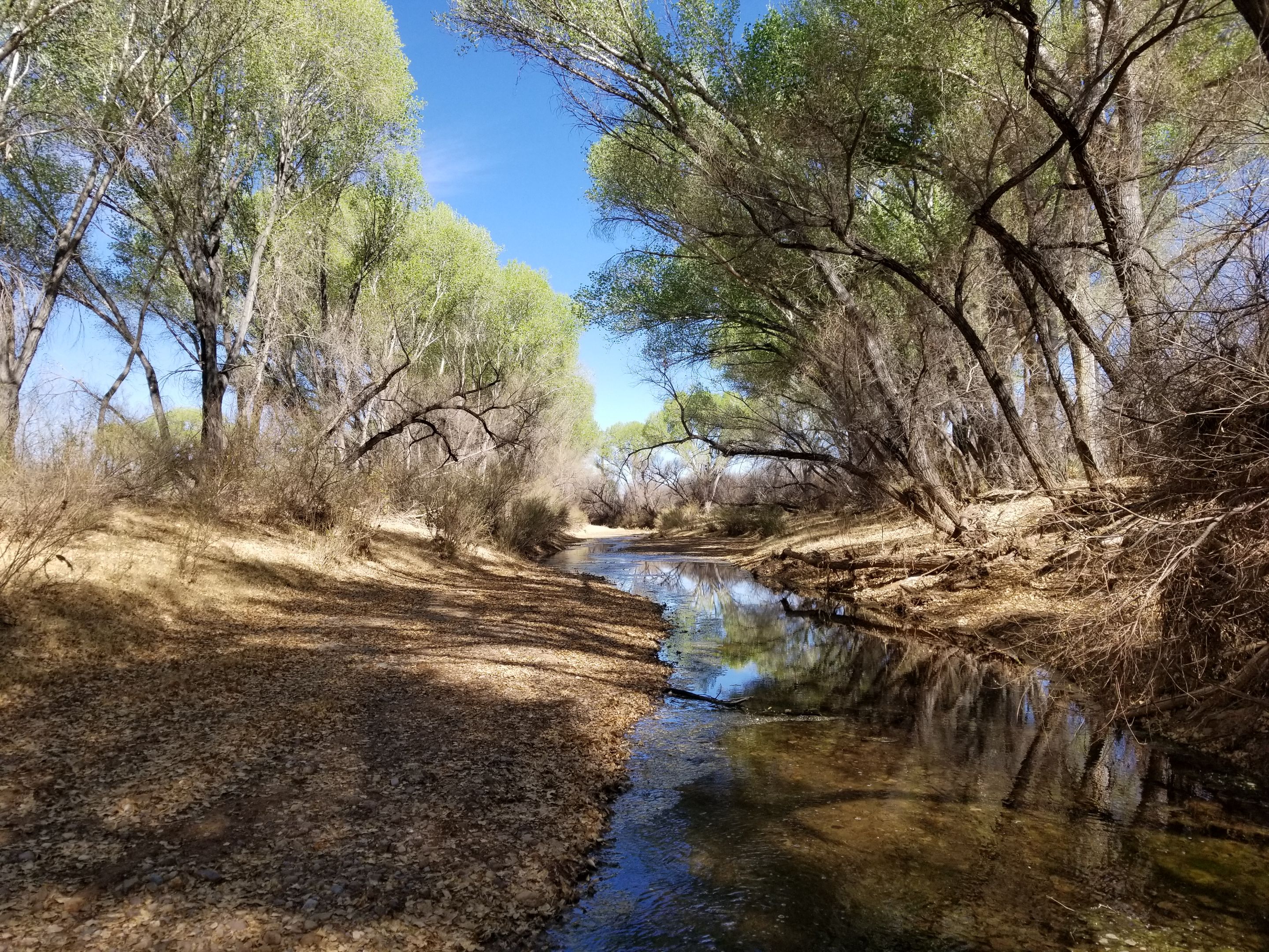 20250325_094135.jpg