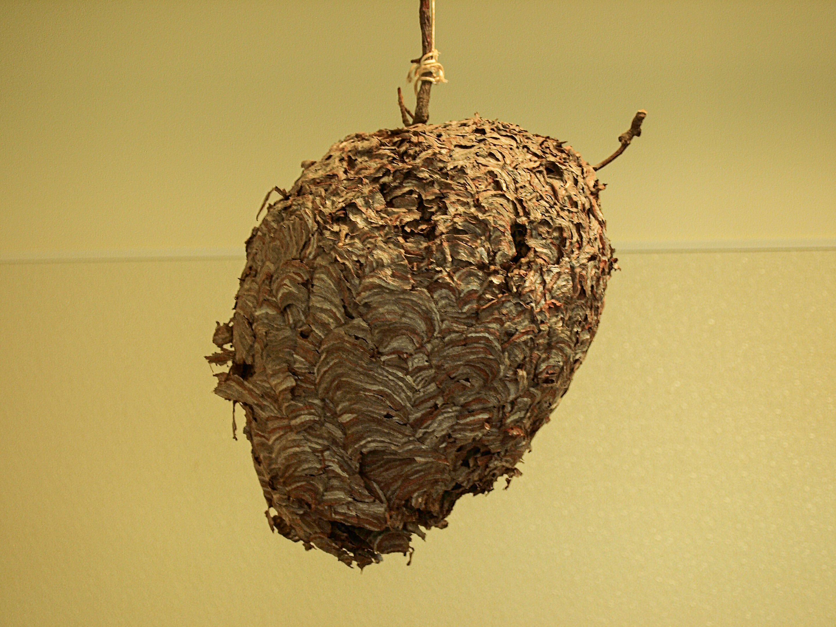 P8067540 copy.jpg