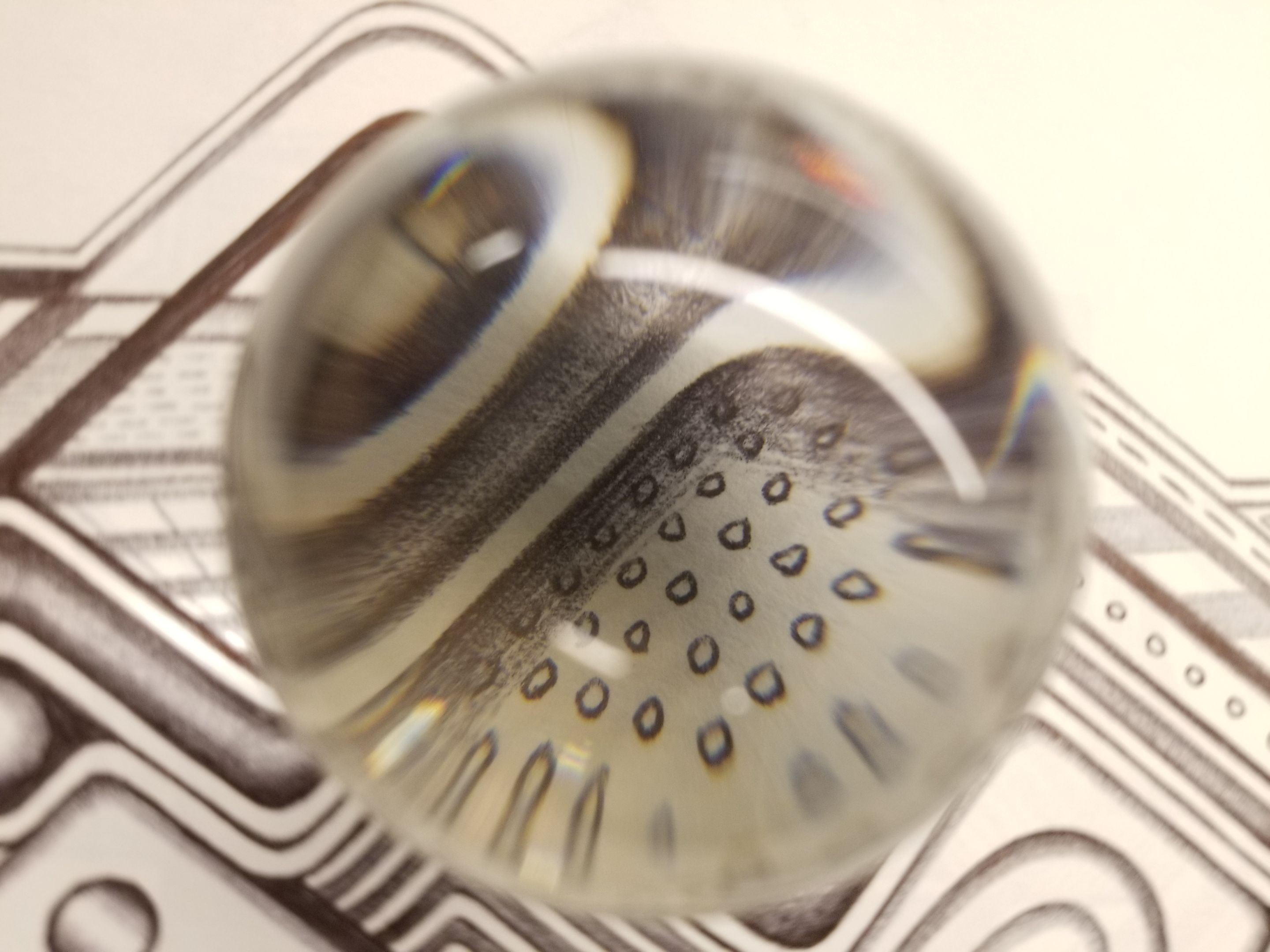 20250213_080032.jpg