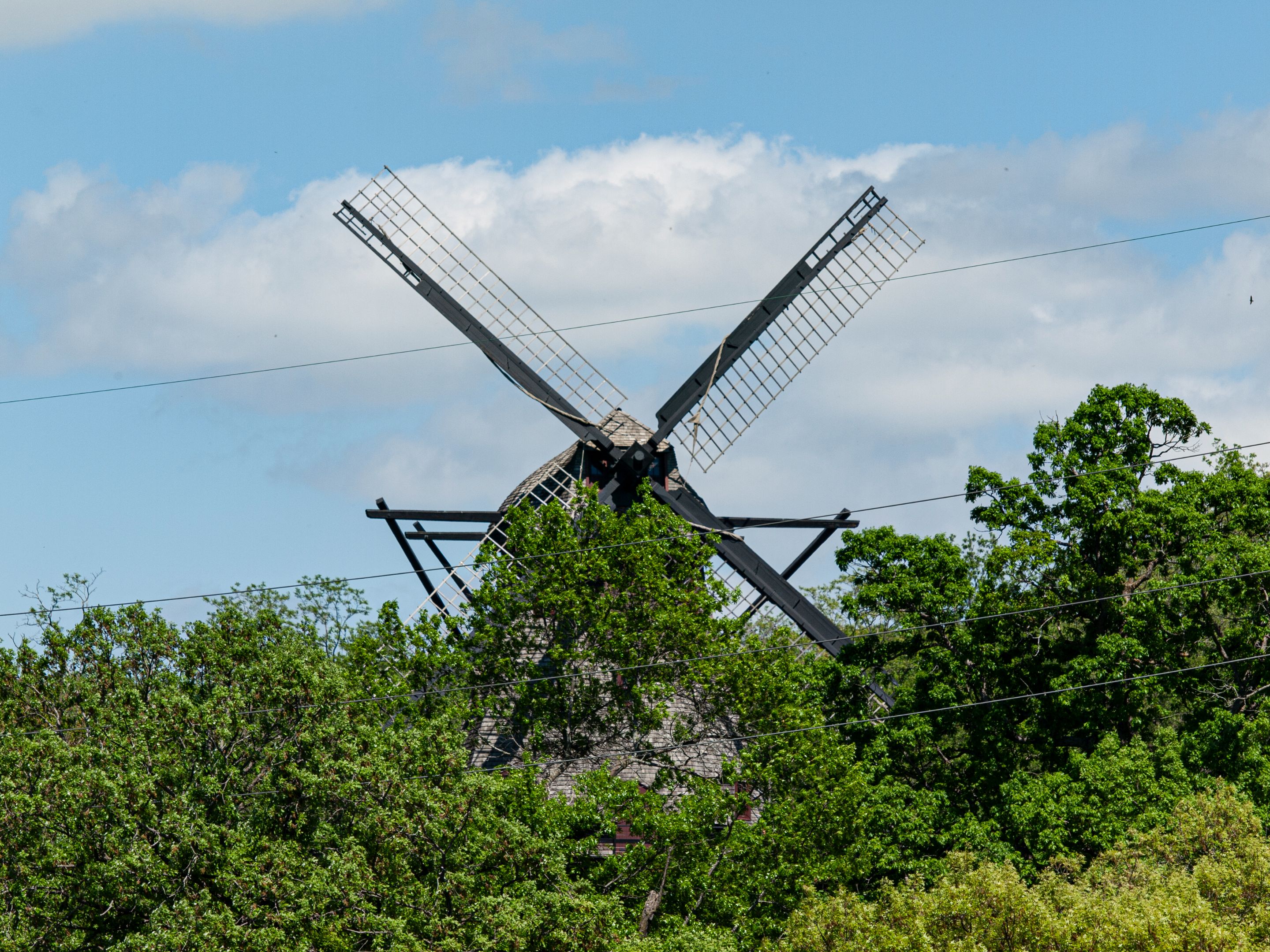P1013413 copy.jpg