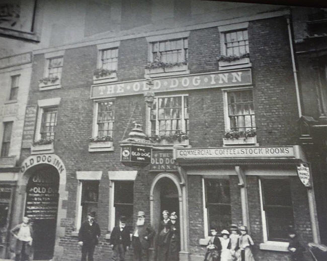 OldDog1882.jpg