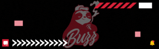 SB Discord Button.gif