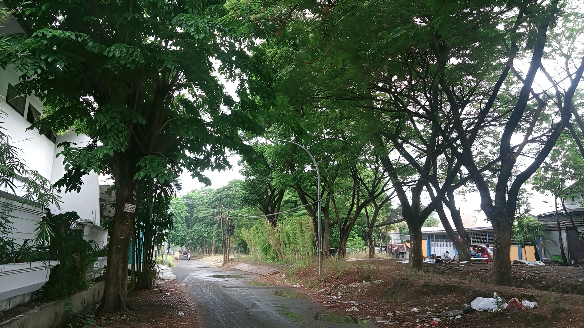 SNOW_20250930_074259_991_112254 (1).jpg