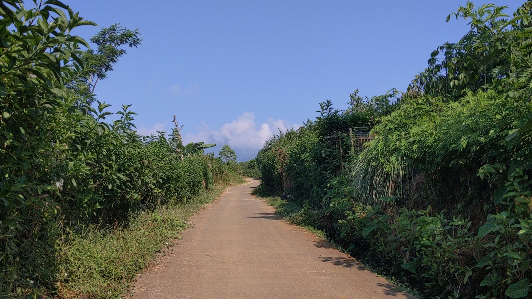 Getting Lost and Turning Around