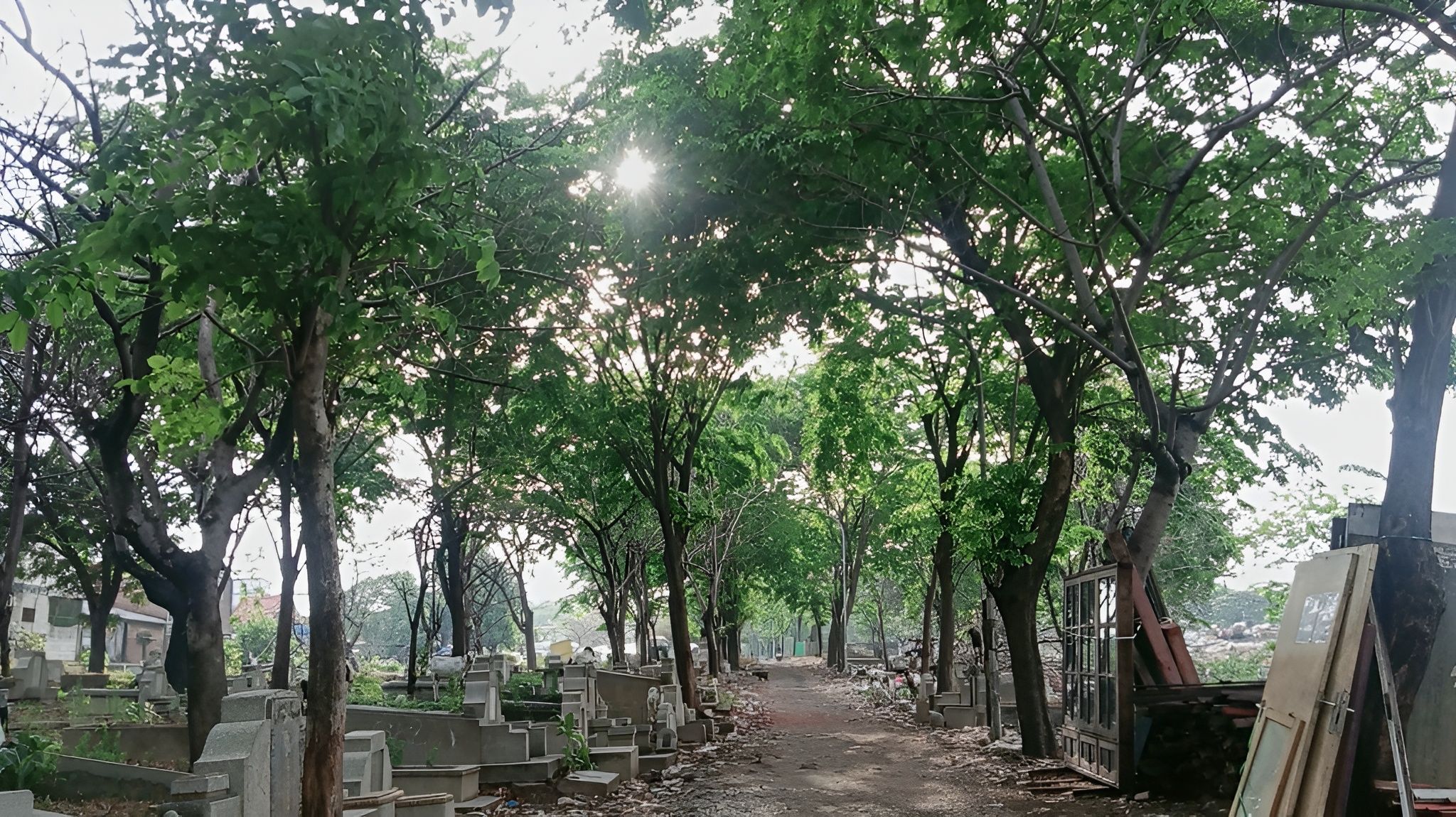 IMG_20251013_113342 (1).jpg