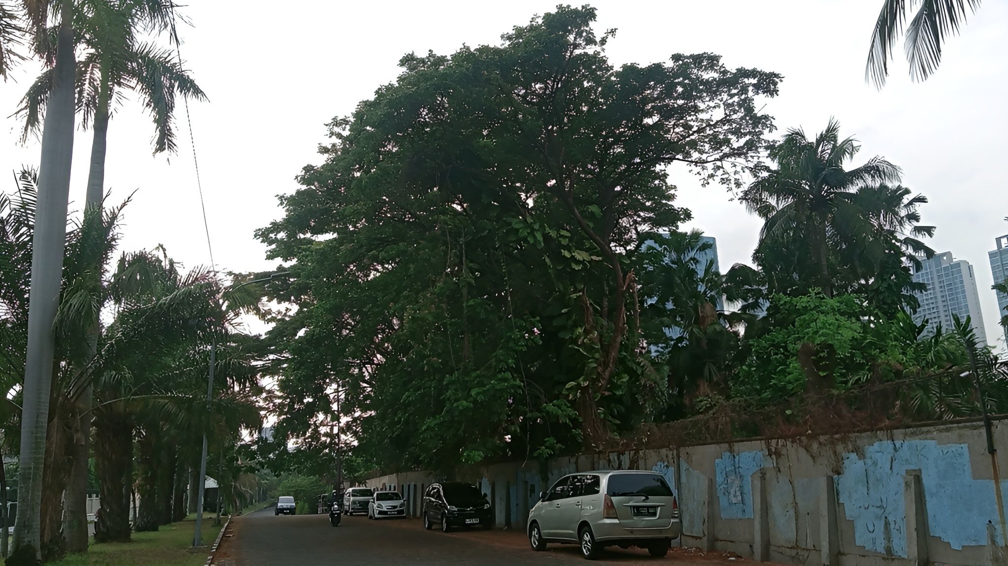 IMG_20250930_072714_112223 (1).jpg