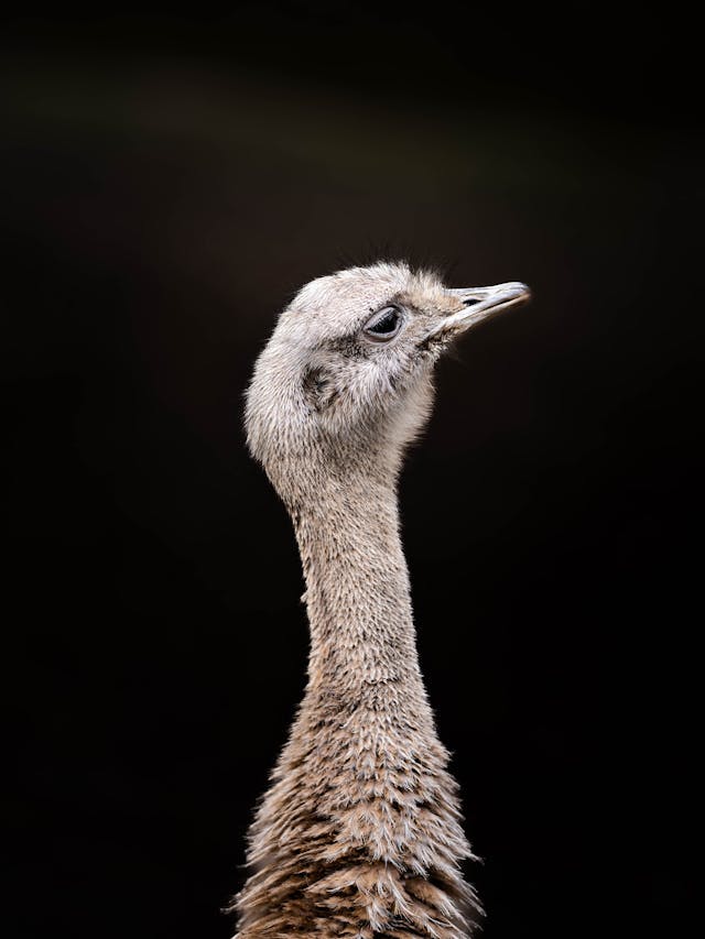 pexels-media-33034928.jpeg