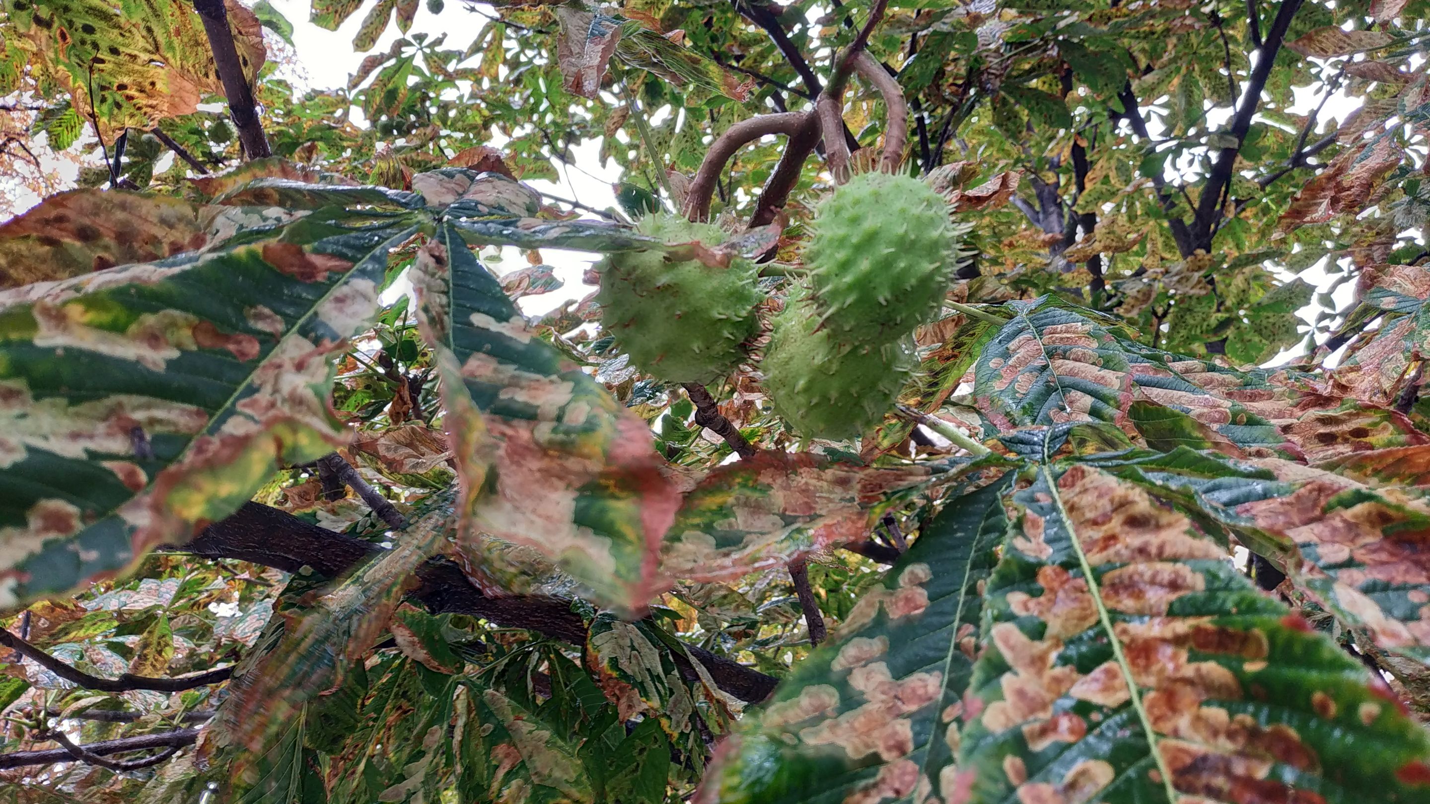 IMG_20250917_105545.jpg