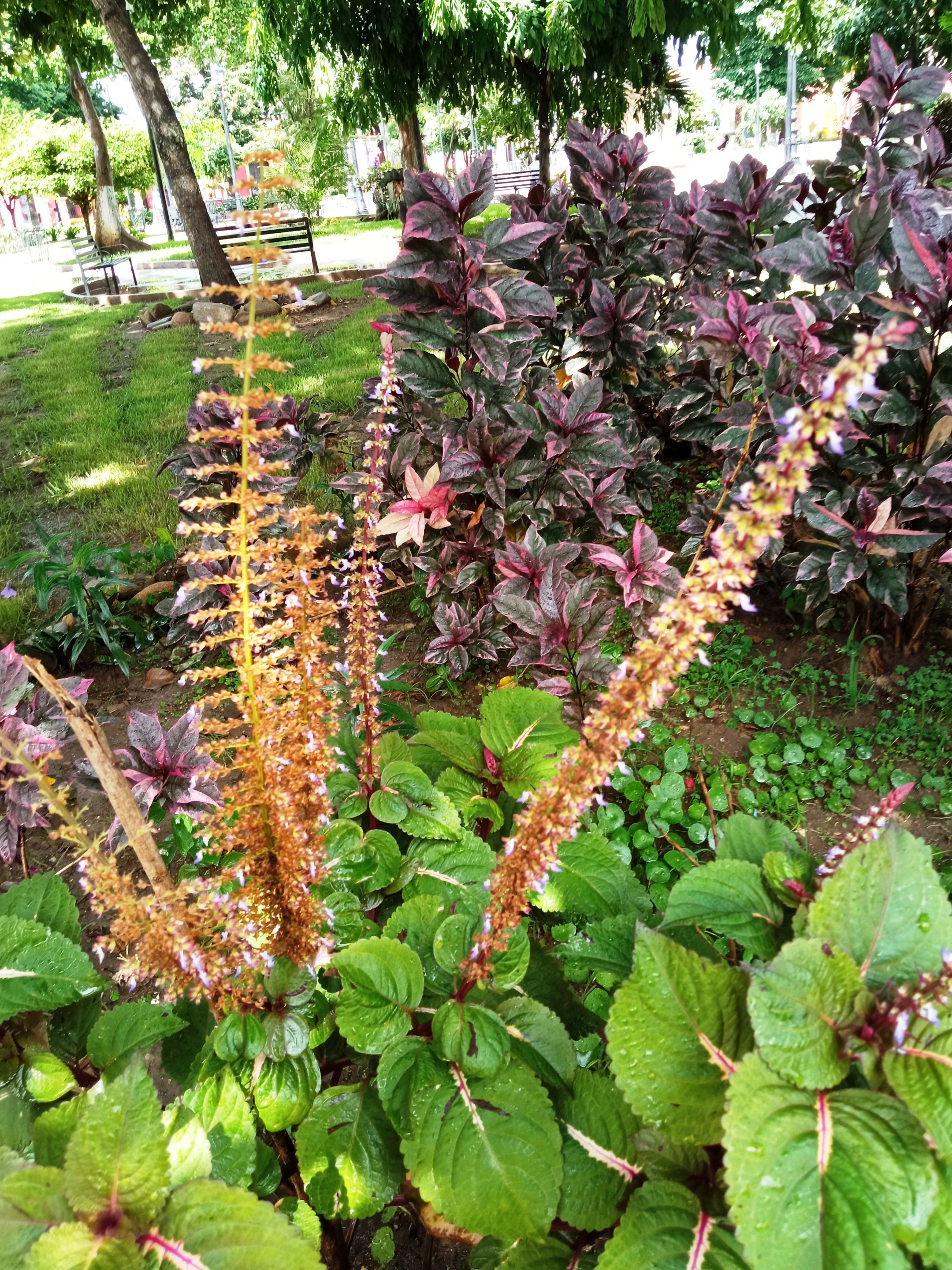 IMG_20250815_101827.jpg