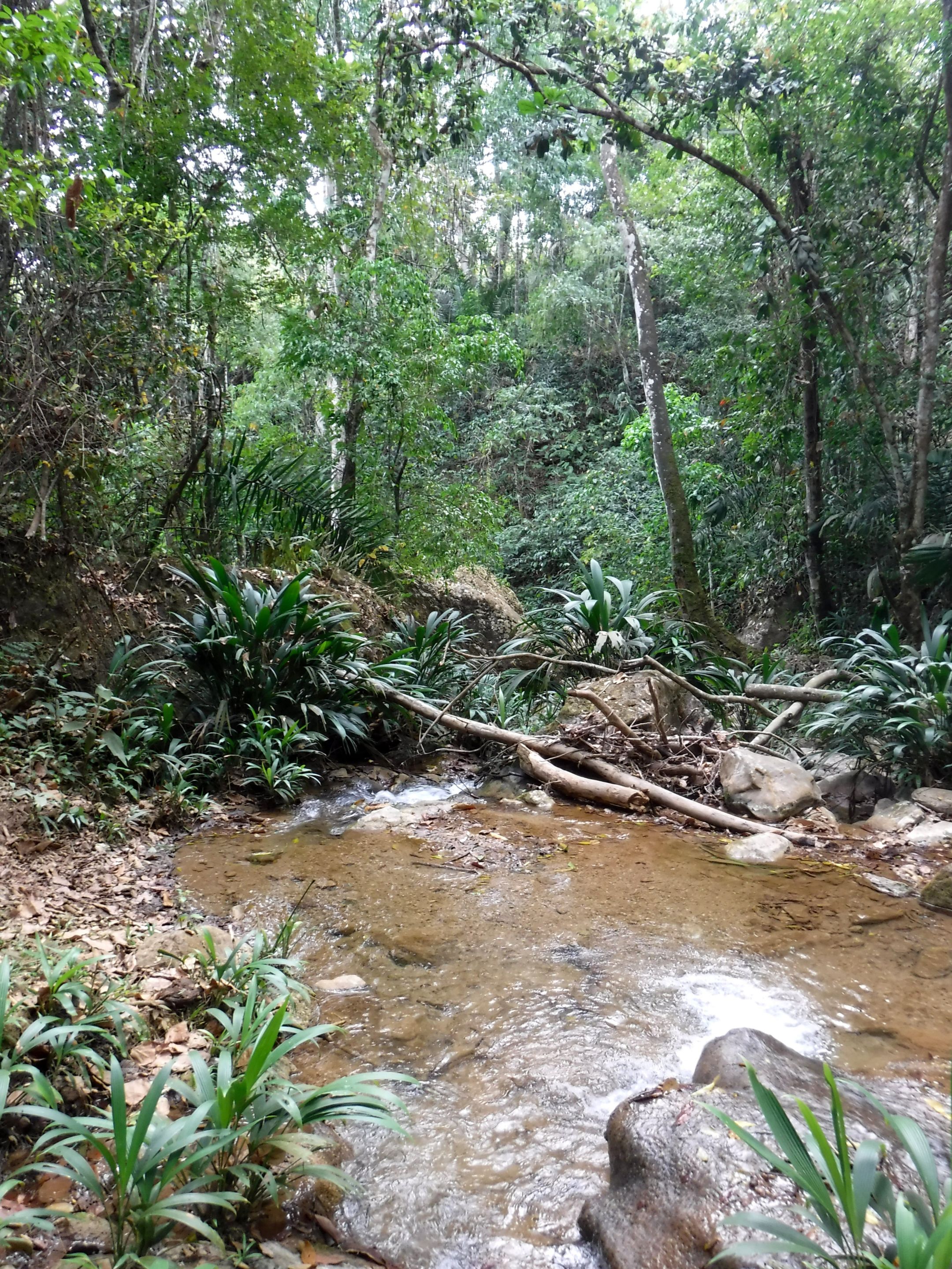 DSCF7886 (2).jpg