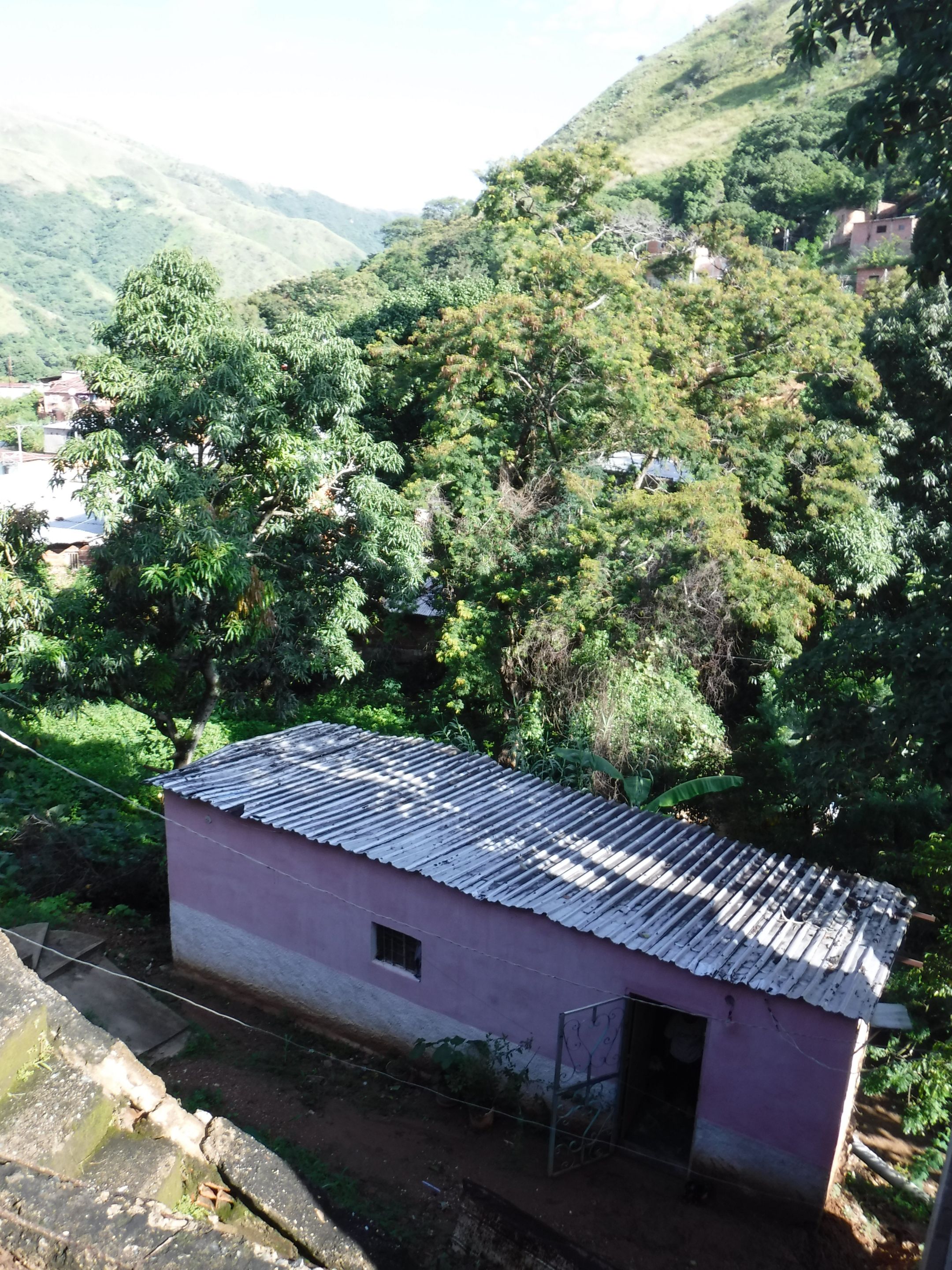 DSCF8287.jpg
