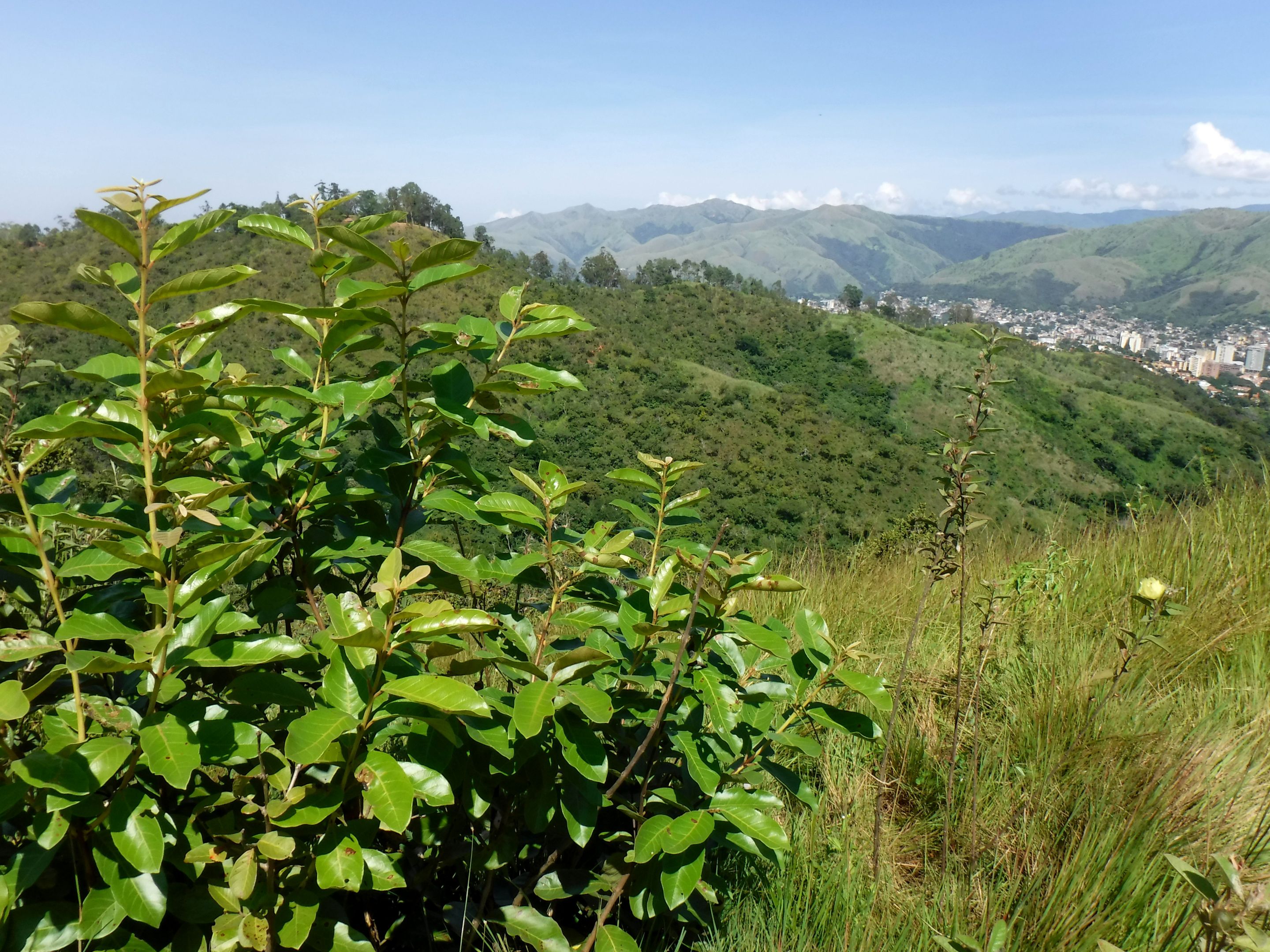 DSCF8396.JPG
