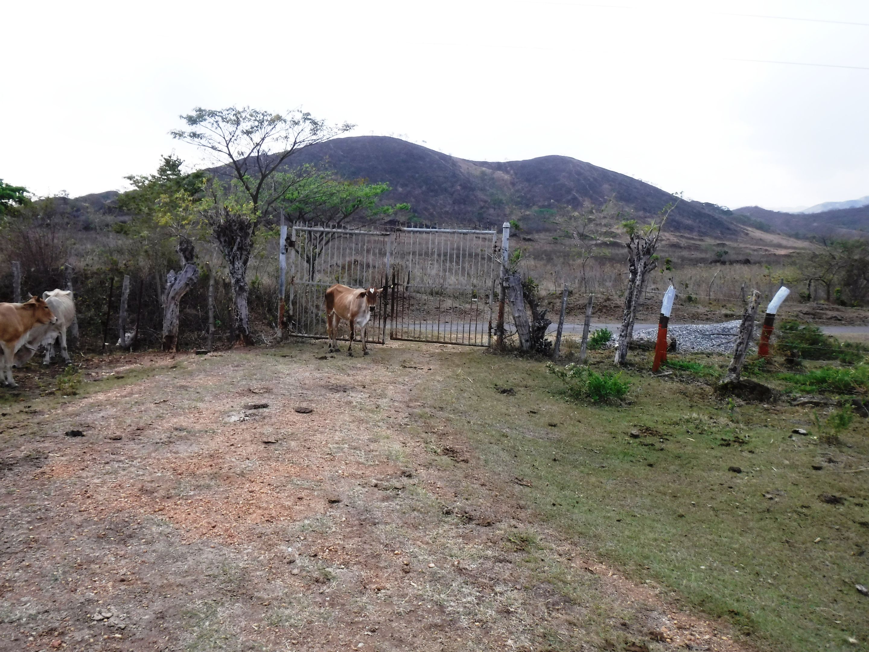 DSCF7799.JPG