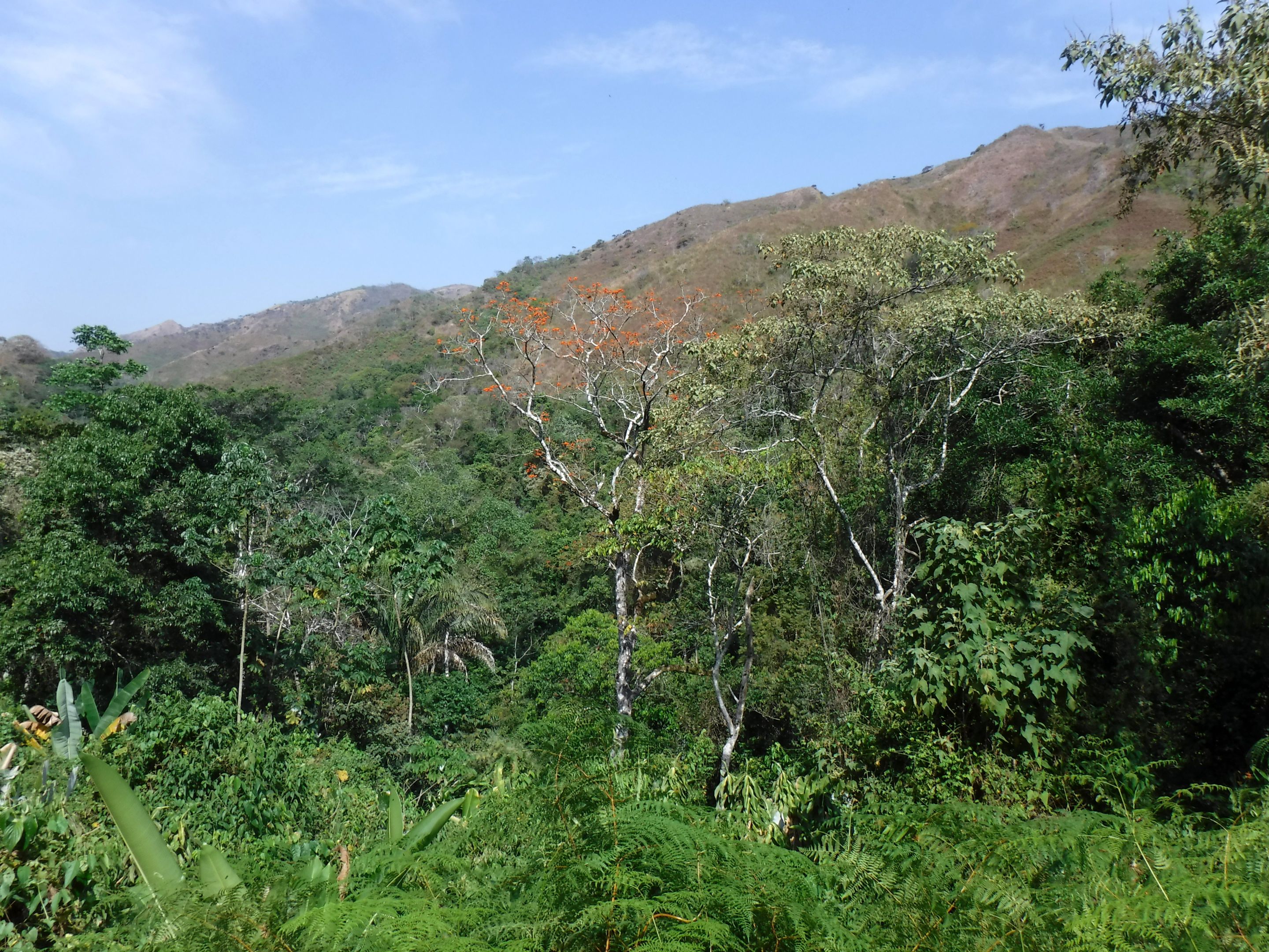 DSCF7992.JPG