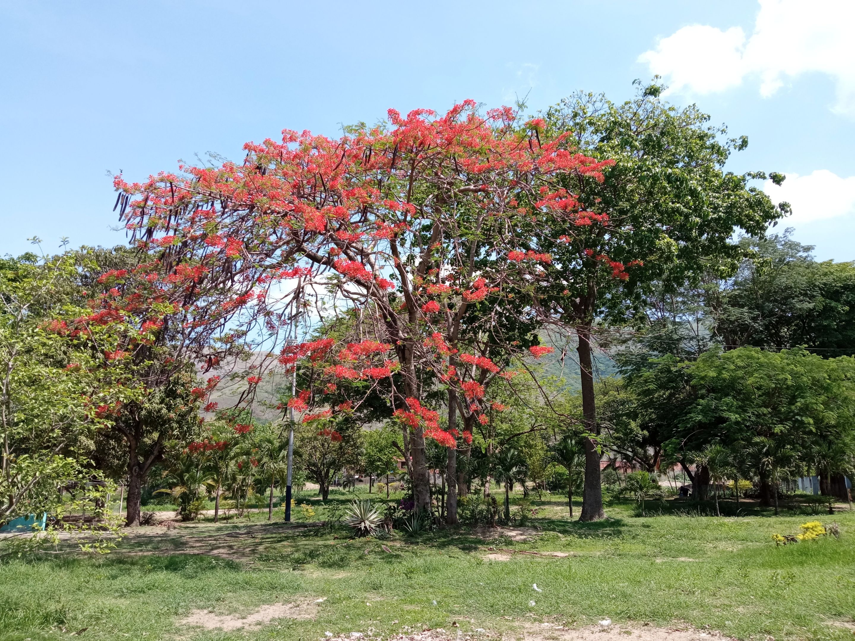 IMG_20250513_104125.jpg
