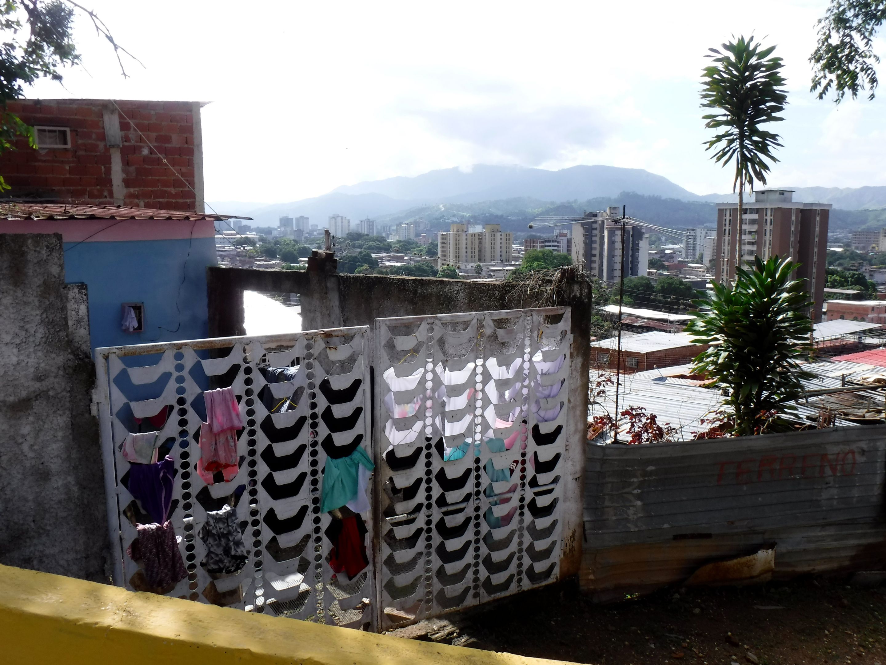 DSCF8331.JPG