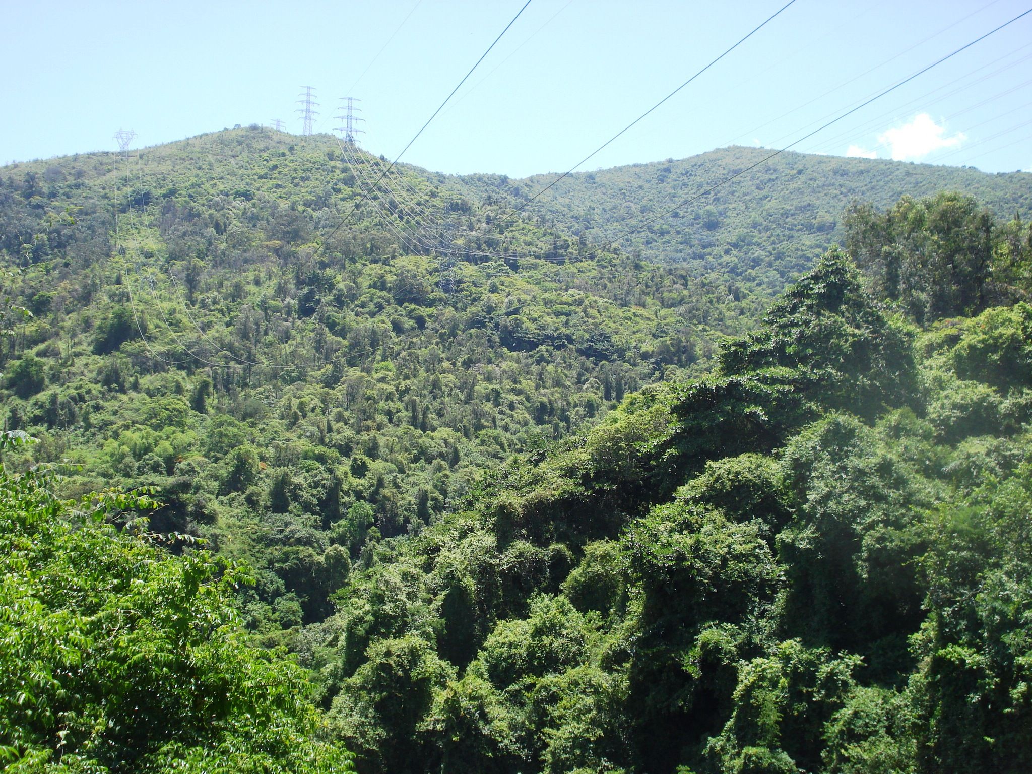 DSC00081.JPG