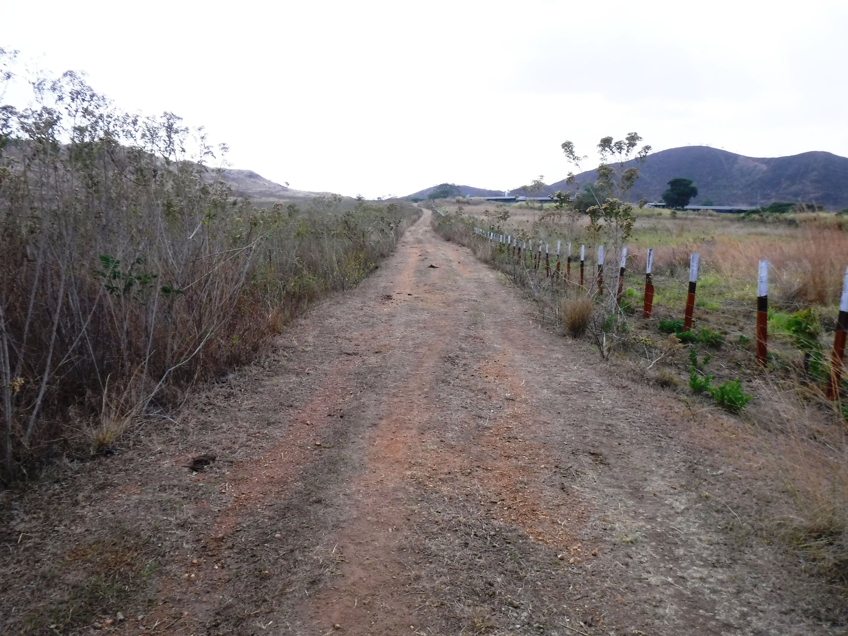 DSCF7795.JPG