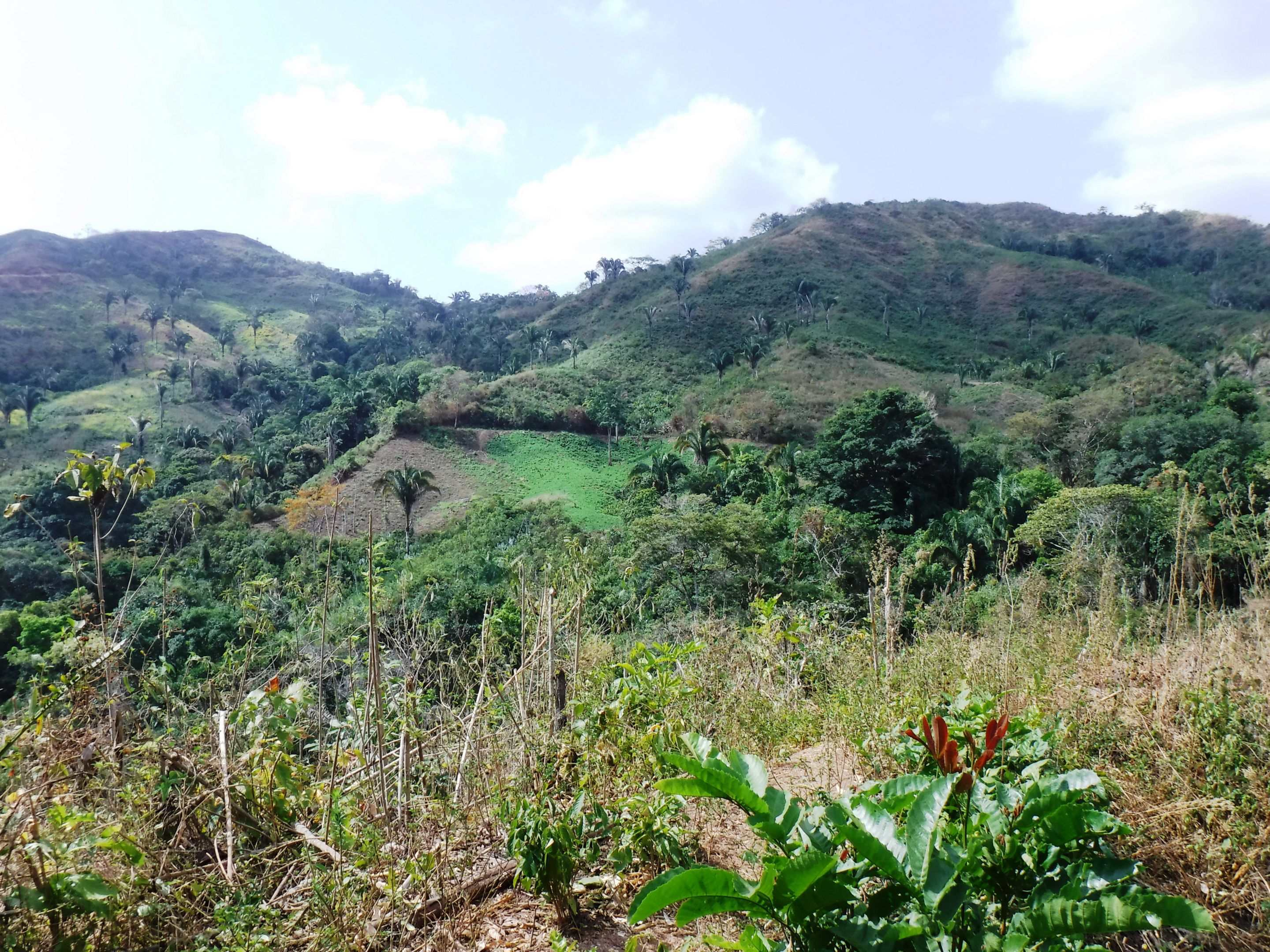 DSCF7880.JPG