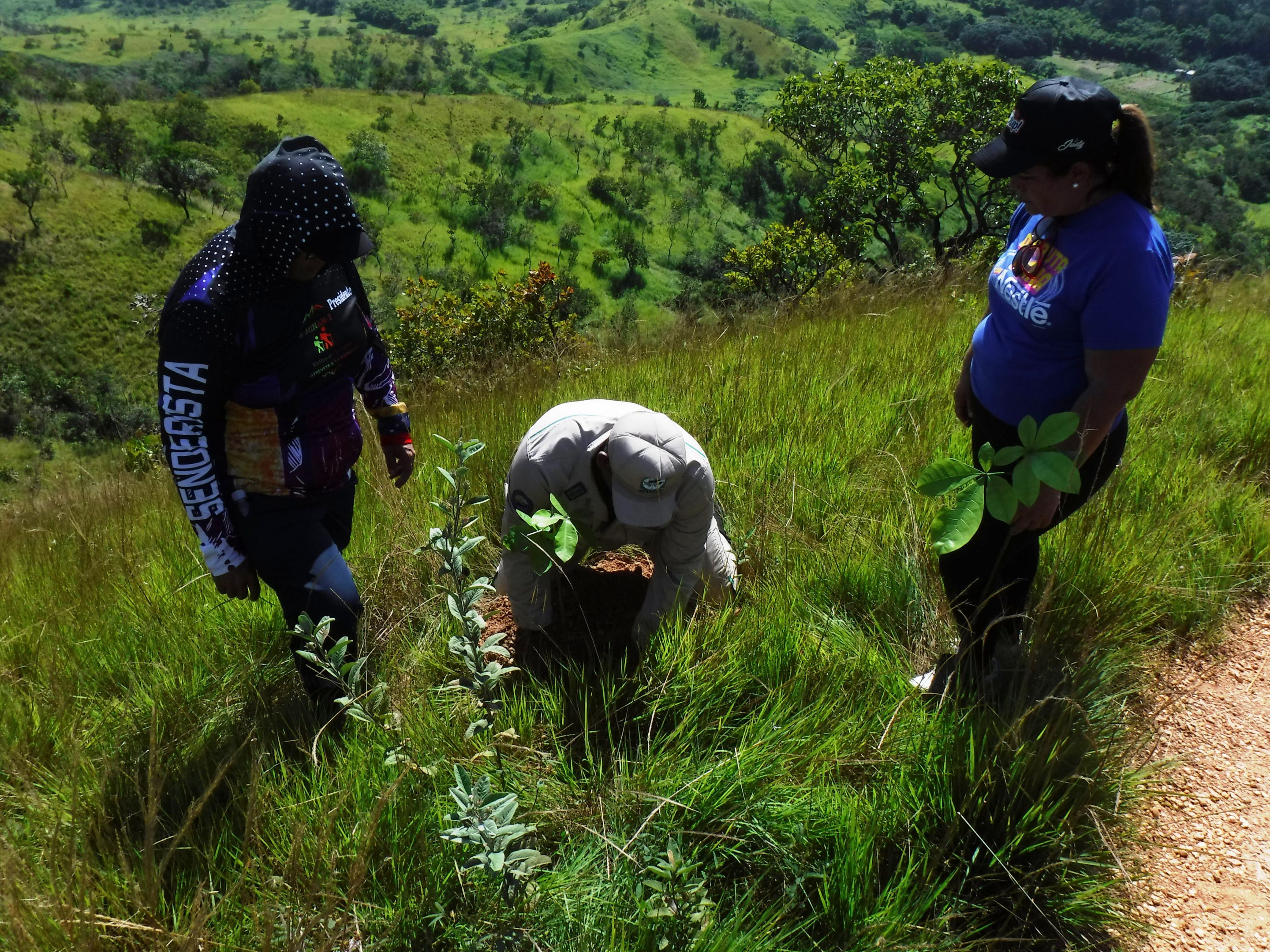 DSCF8392.JPG