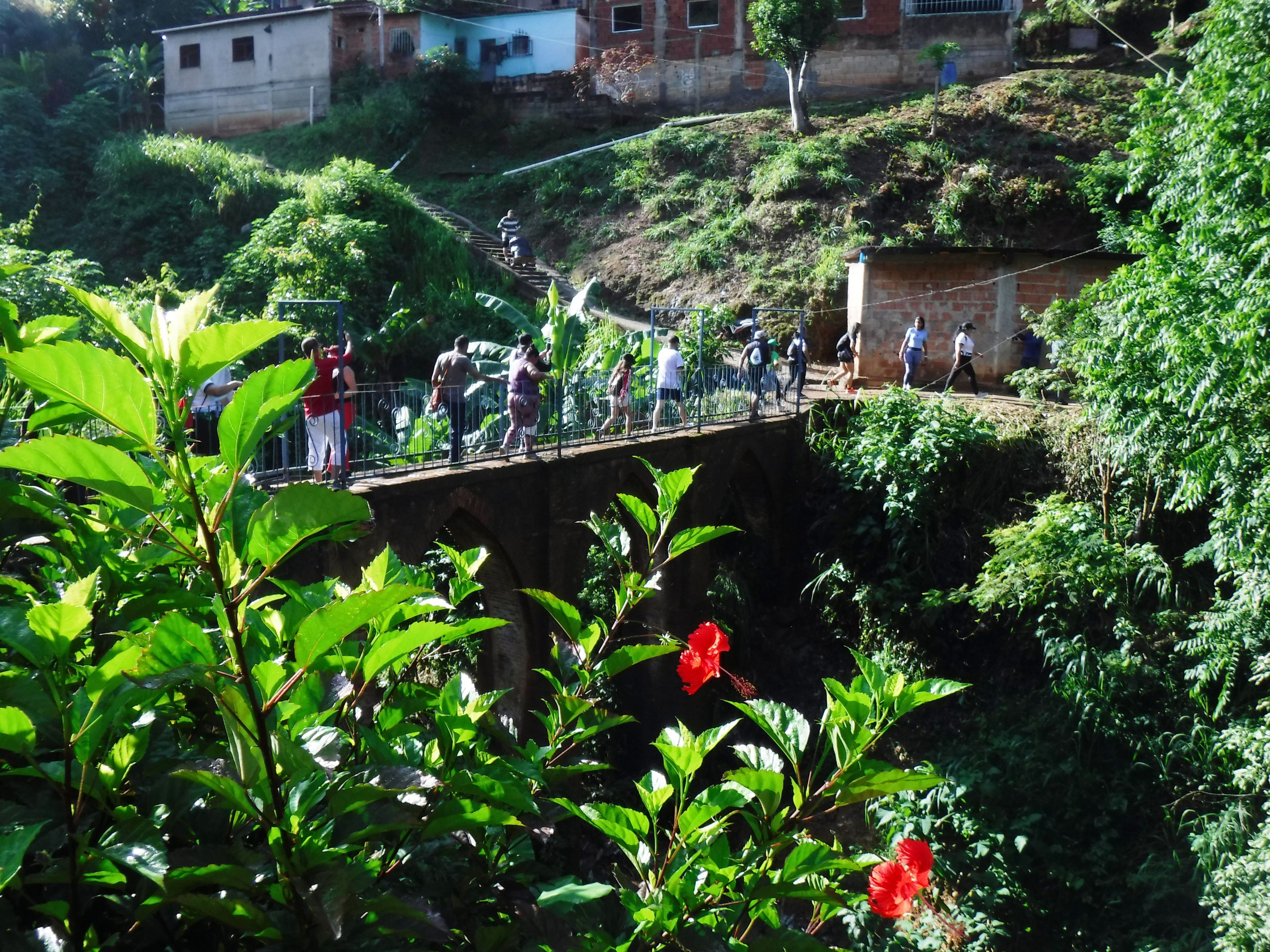DSCF8271.JPG