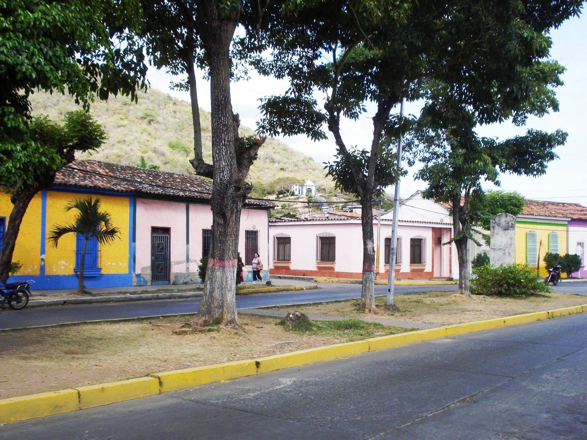 181.JPG
