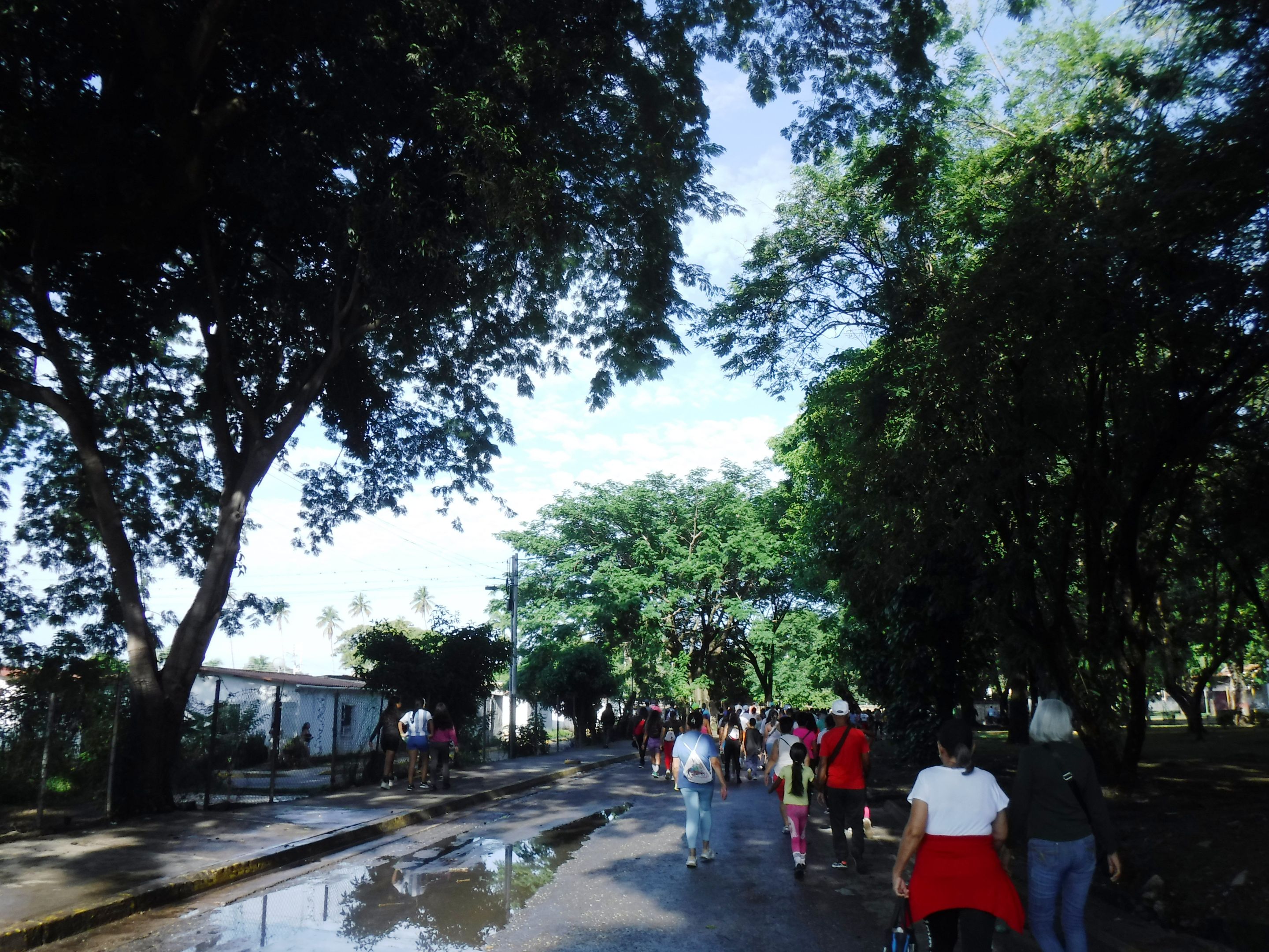 DSCF8238.JPG