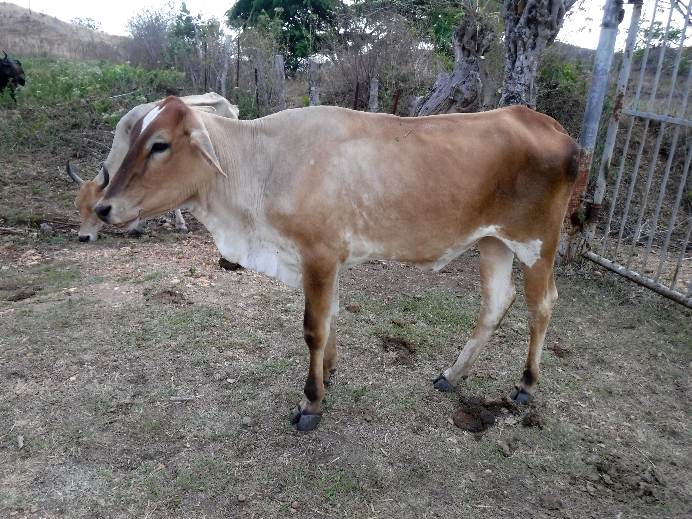 DSCF7800.JPG