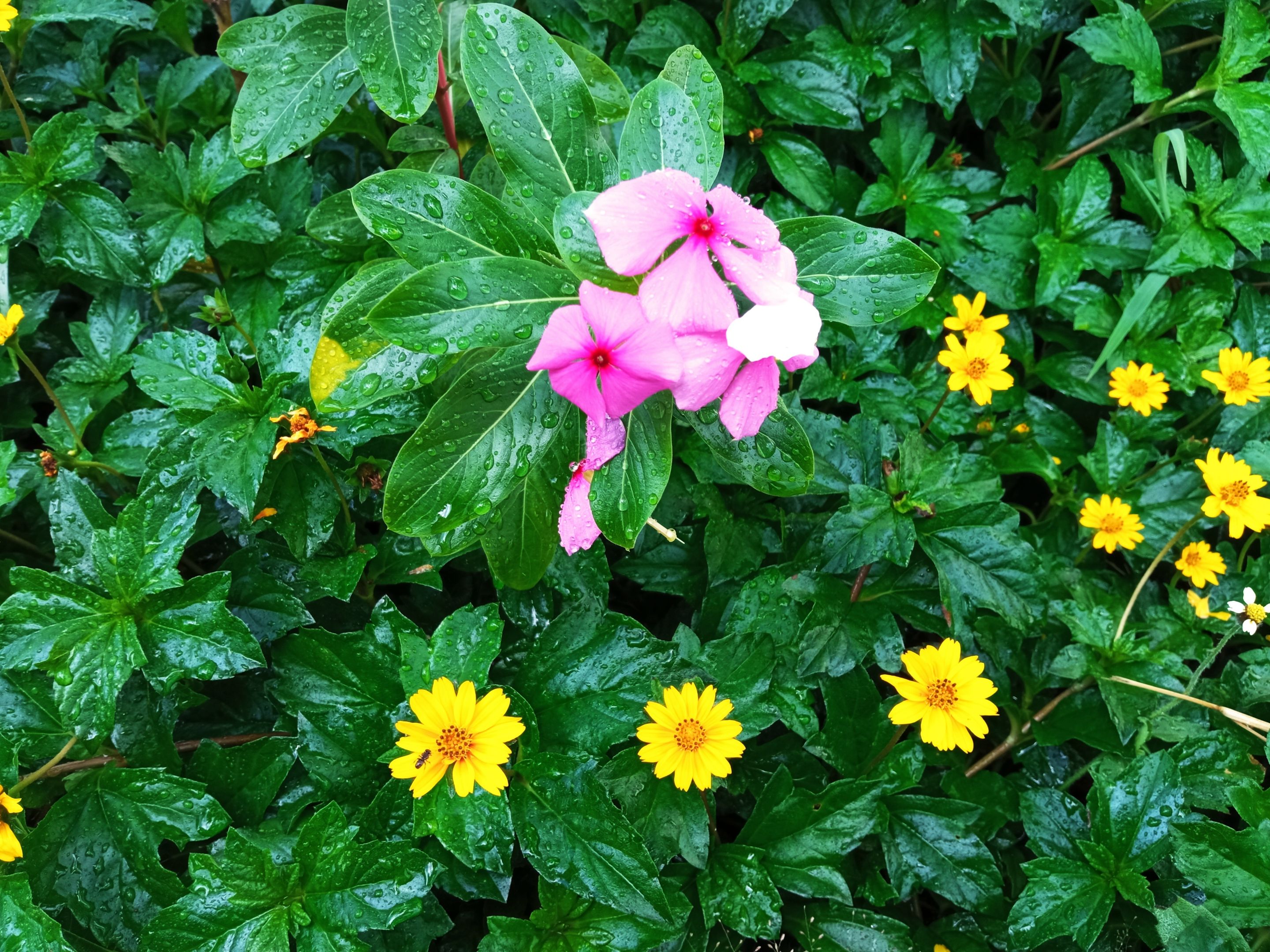 IMG_20250815_101120.jpg