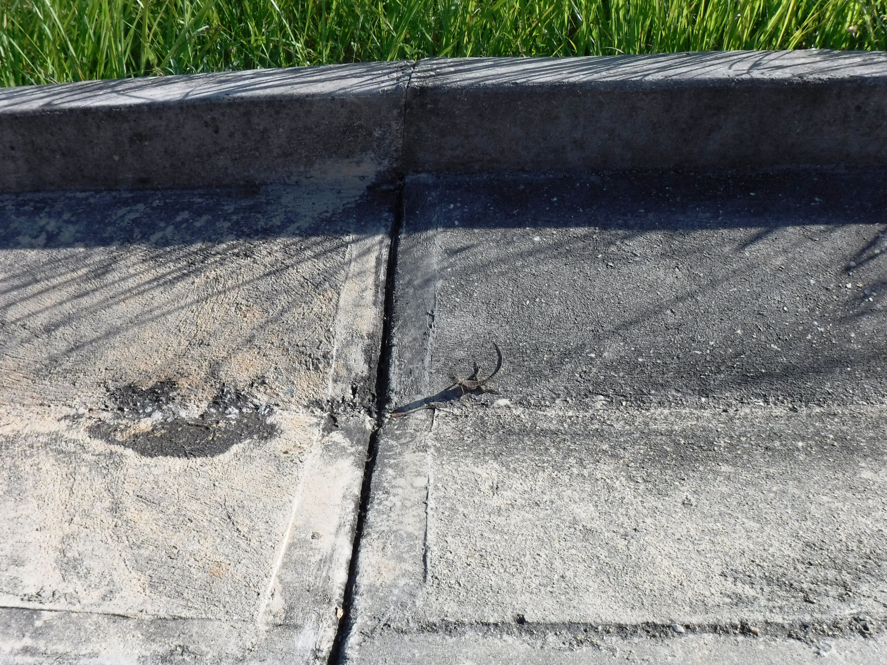 DSCF8345.JPG