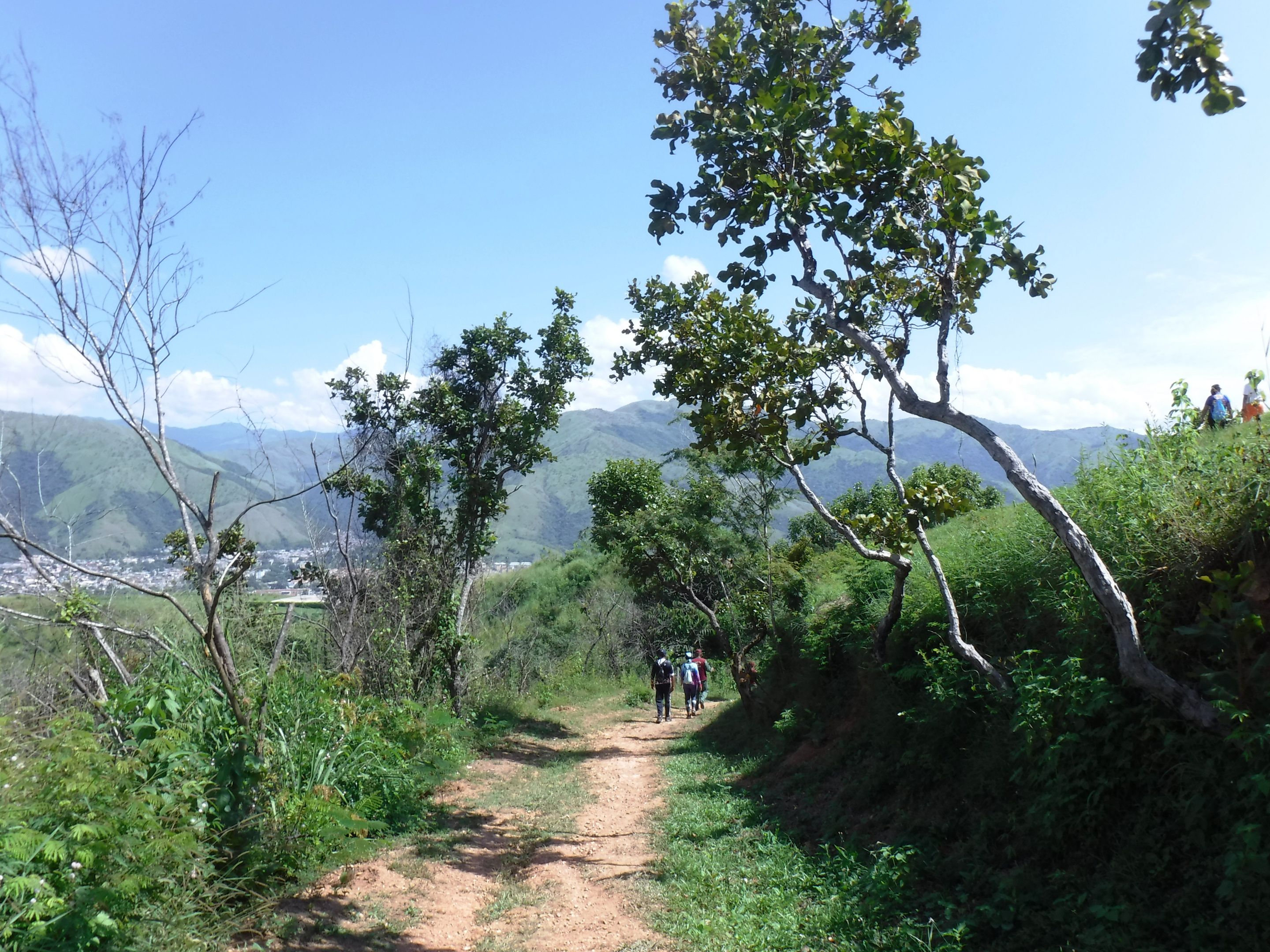 DSCF8399.JPG