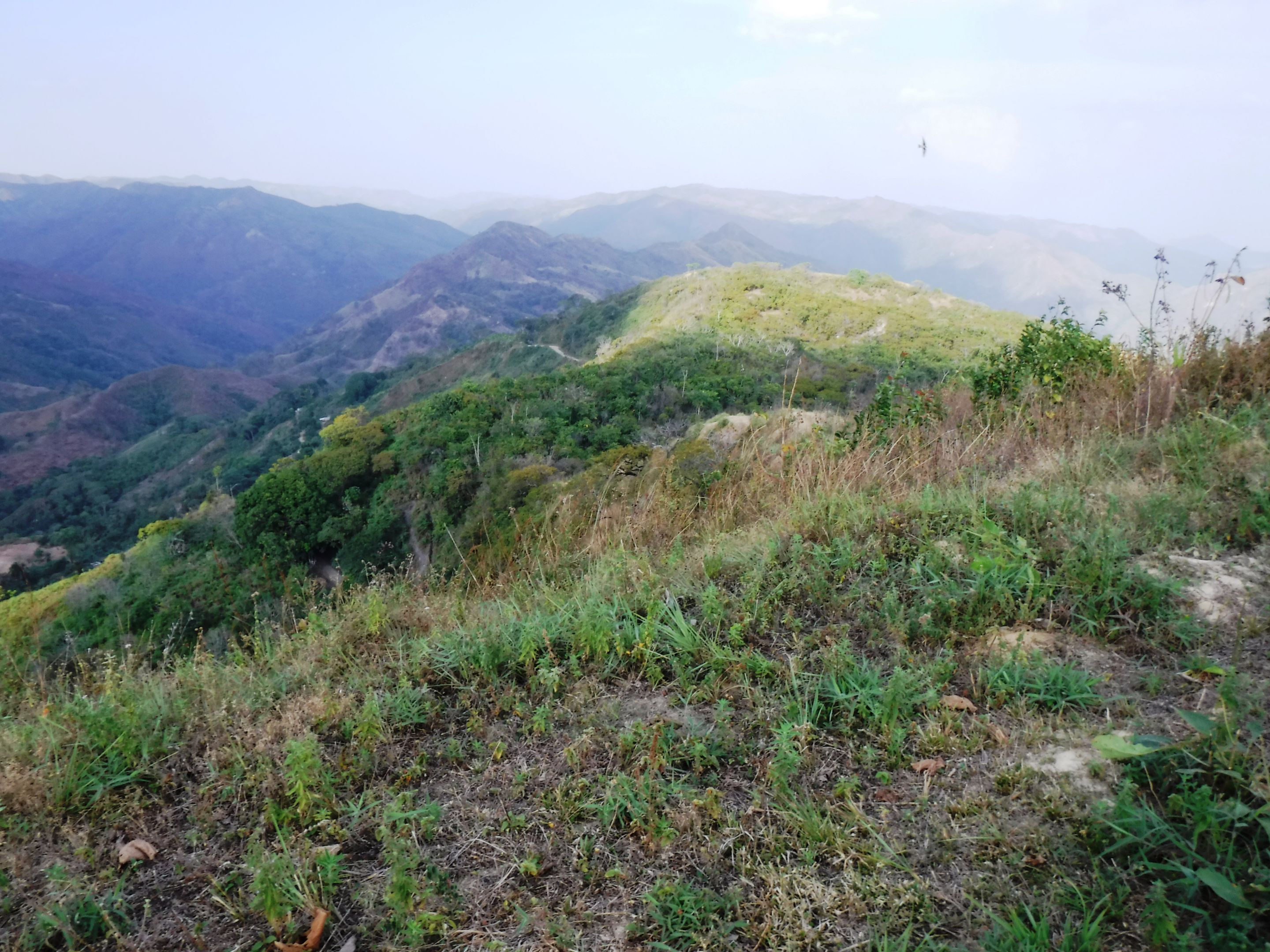DSCF7958.JPG