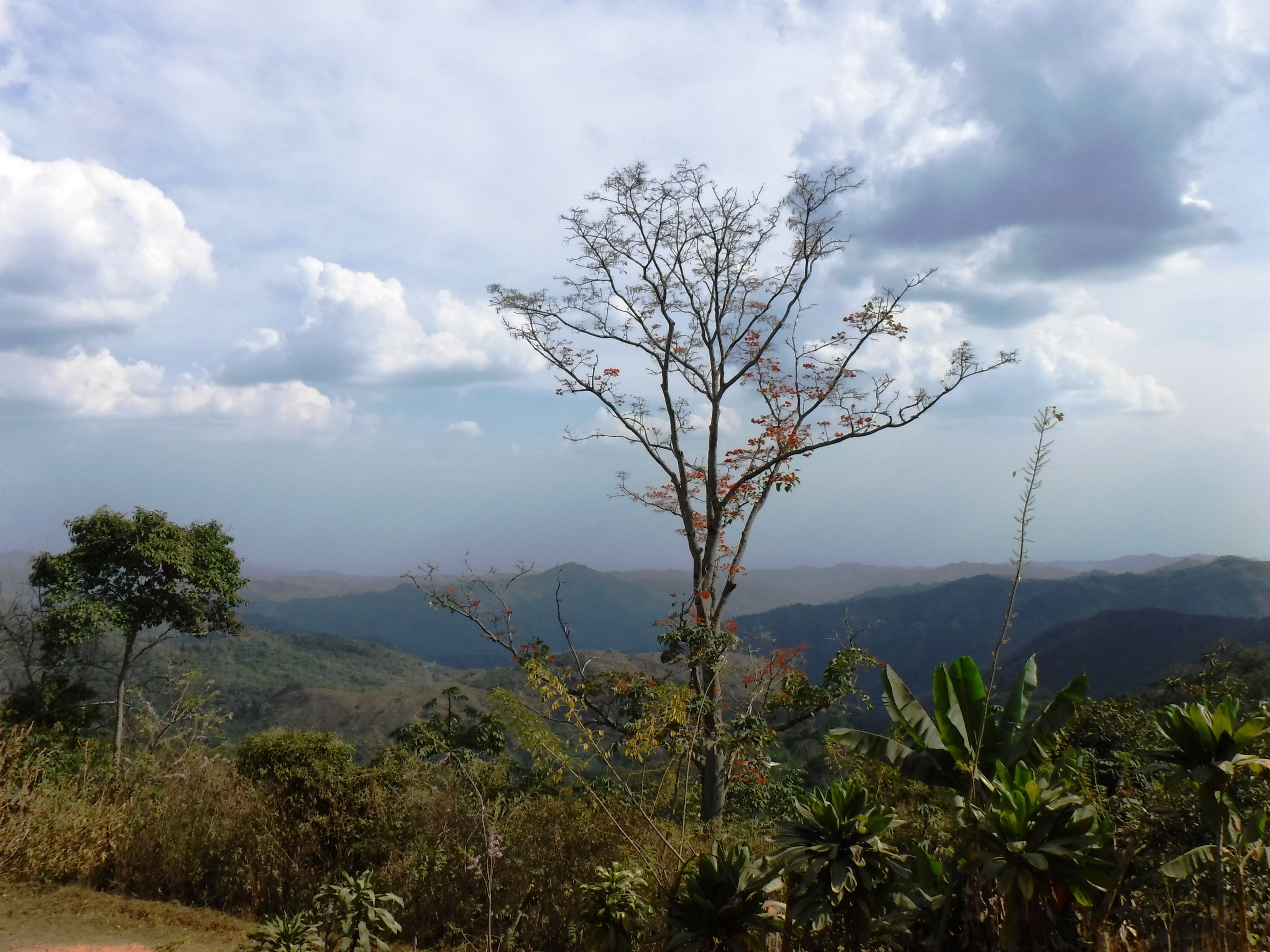 DSCF7936.JPG