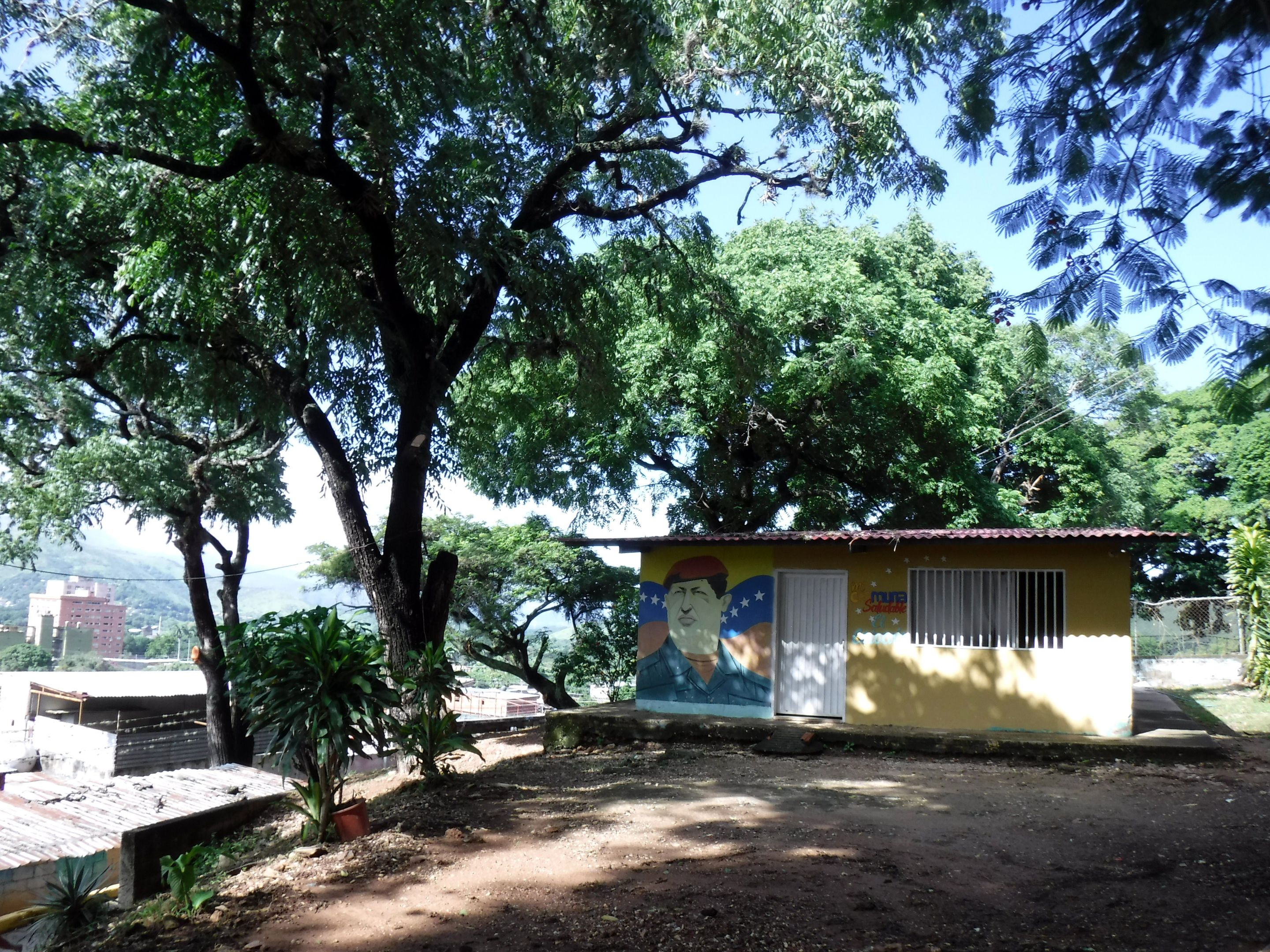 DSCF8334.JPG