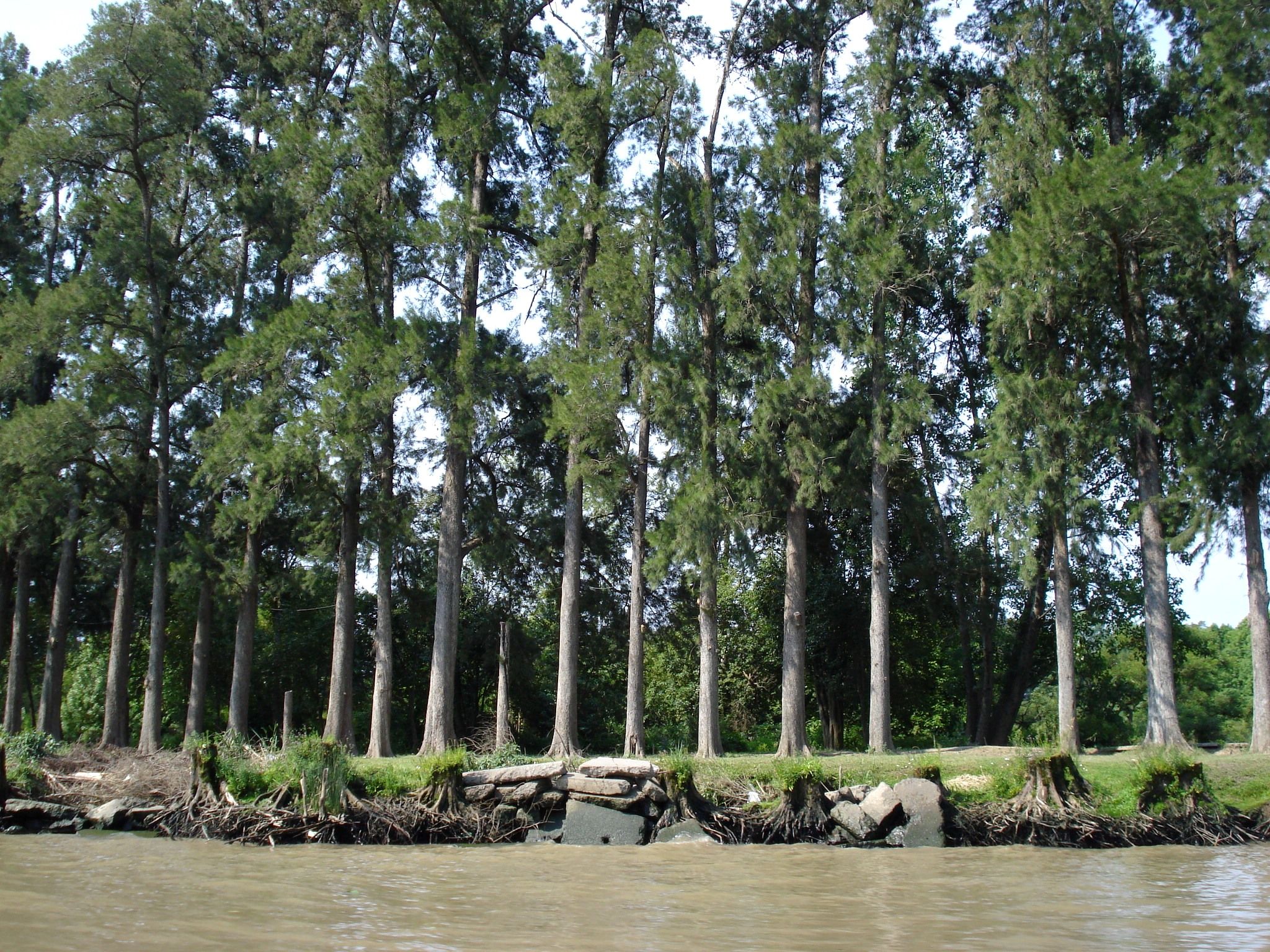 DSC09252.JPG
