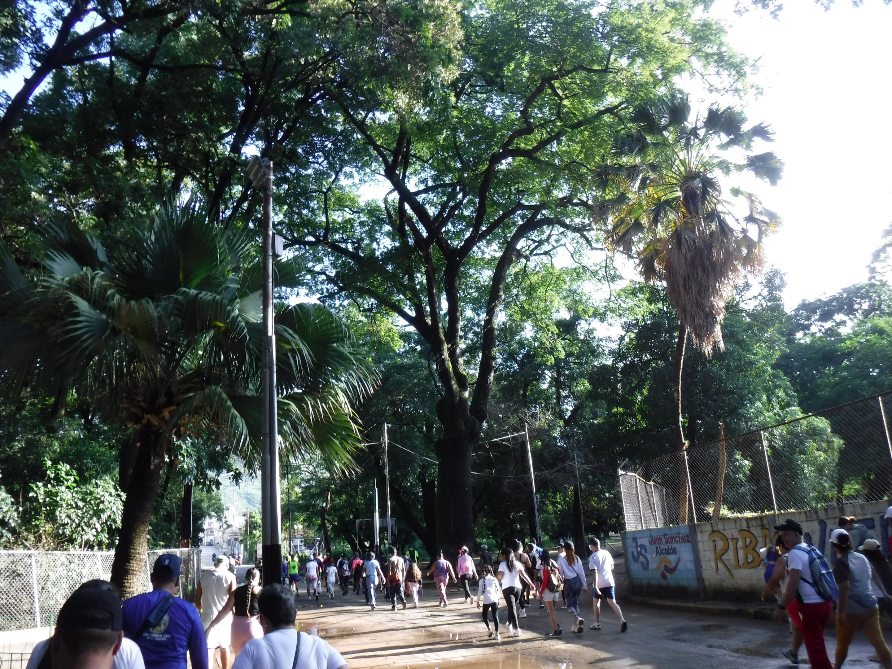 DSCF8227.JPG